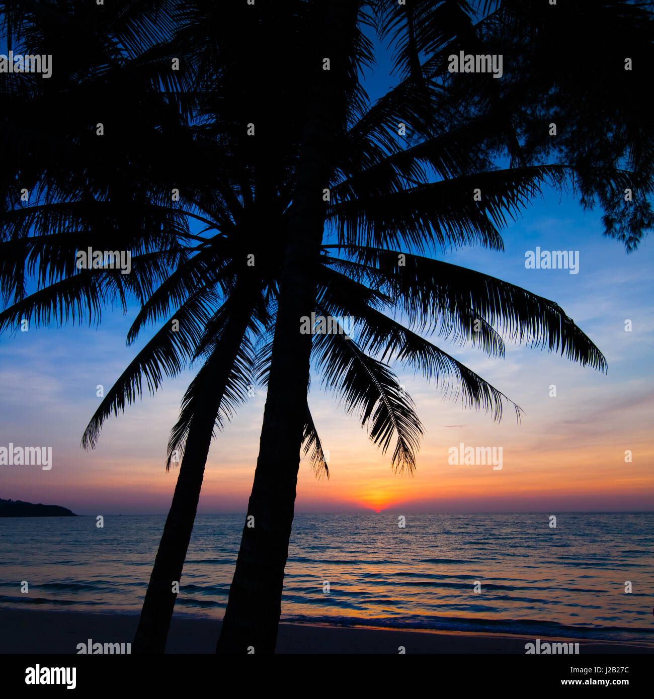 sunset on the beach. Palm trees silhouette on sunset tropical beach ...