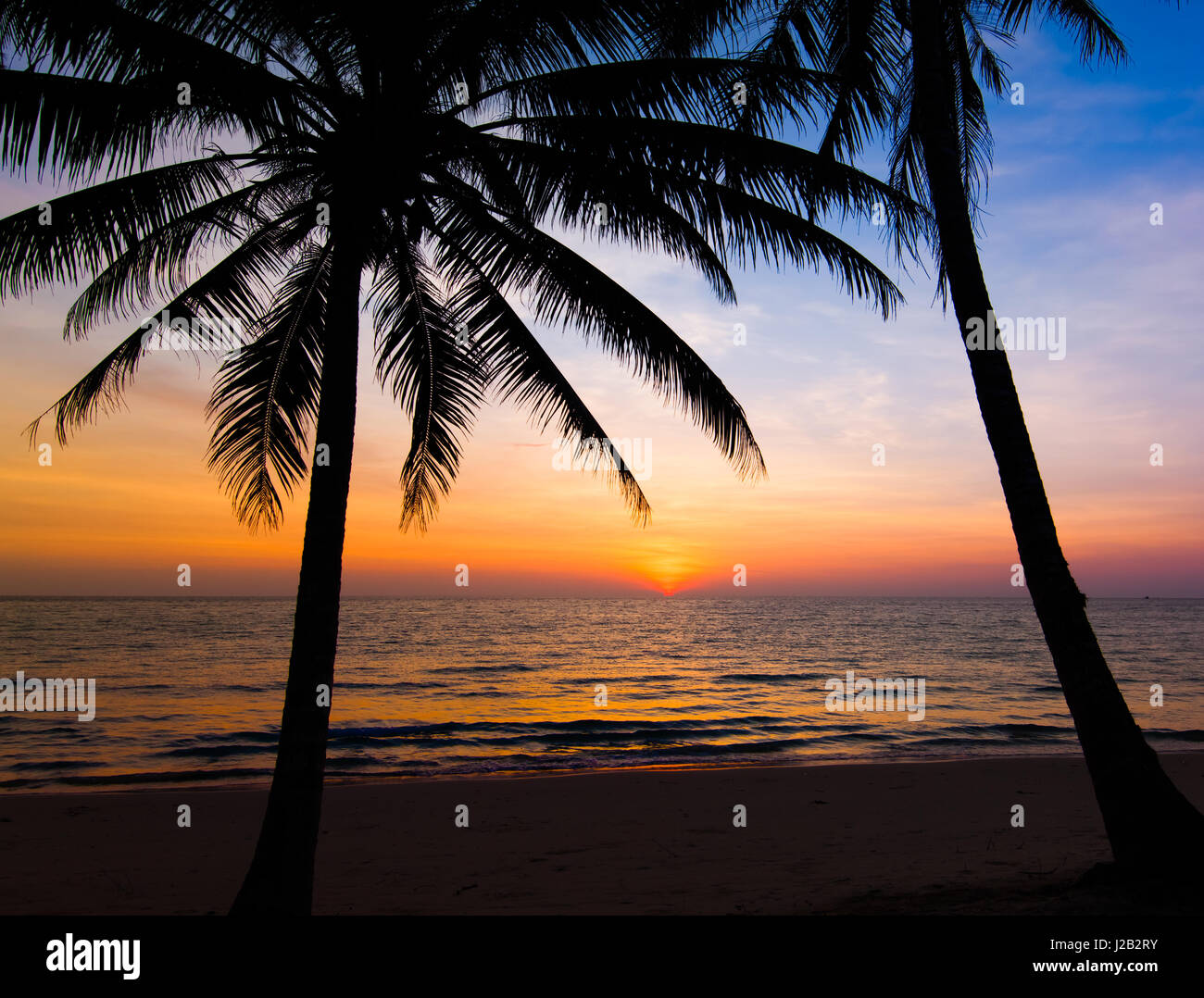 sunset on the beach. Palm trees silhouette on sunset tropical beach ...