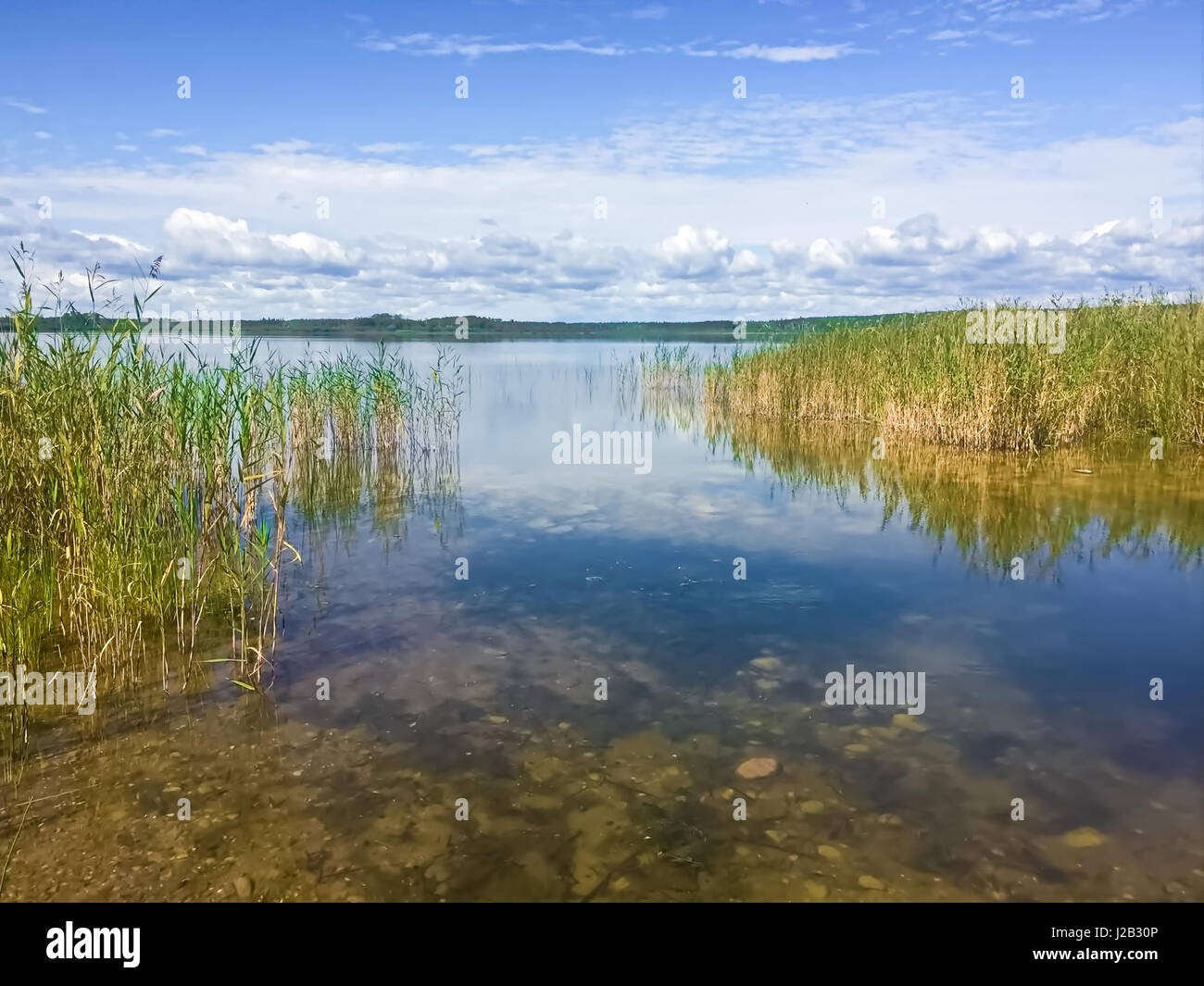 Saskatchewan rush hi res stock photography and images Alamy