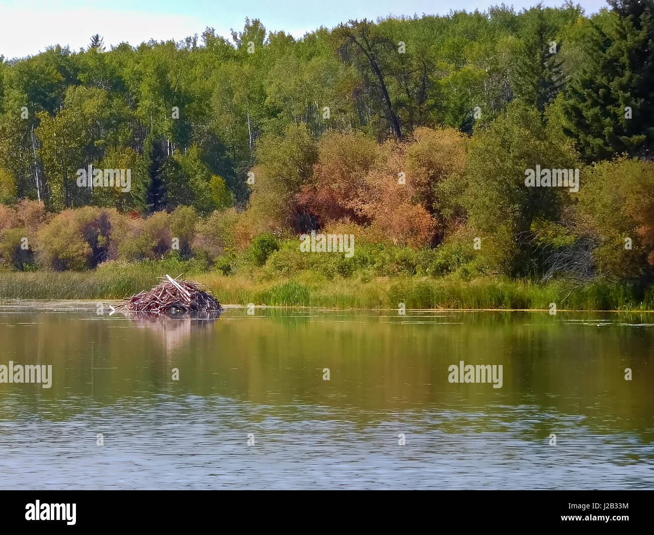 Green lake saskatchewan hires stock photography and images Alamy