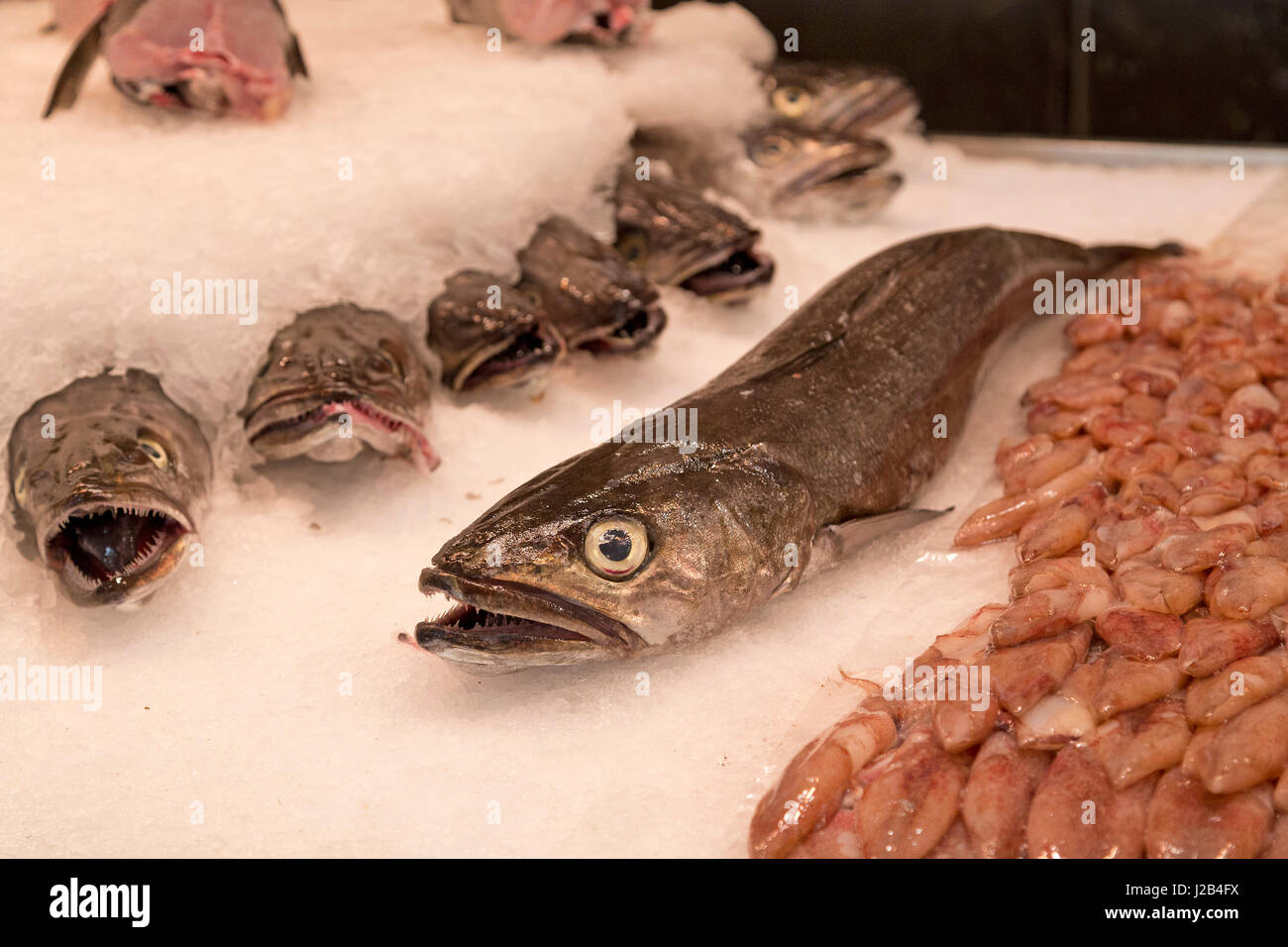 fish stall at Mercat de l´Olivar in Palma de Mallorca, Spain Stock Photo