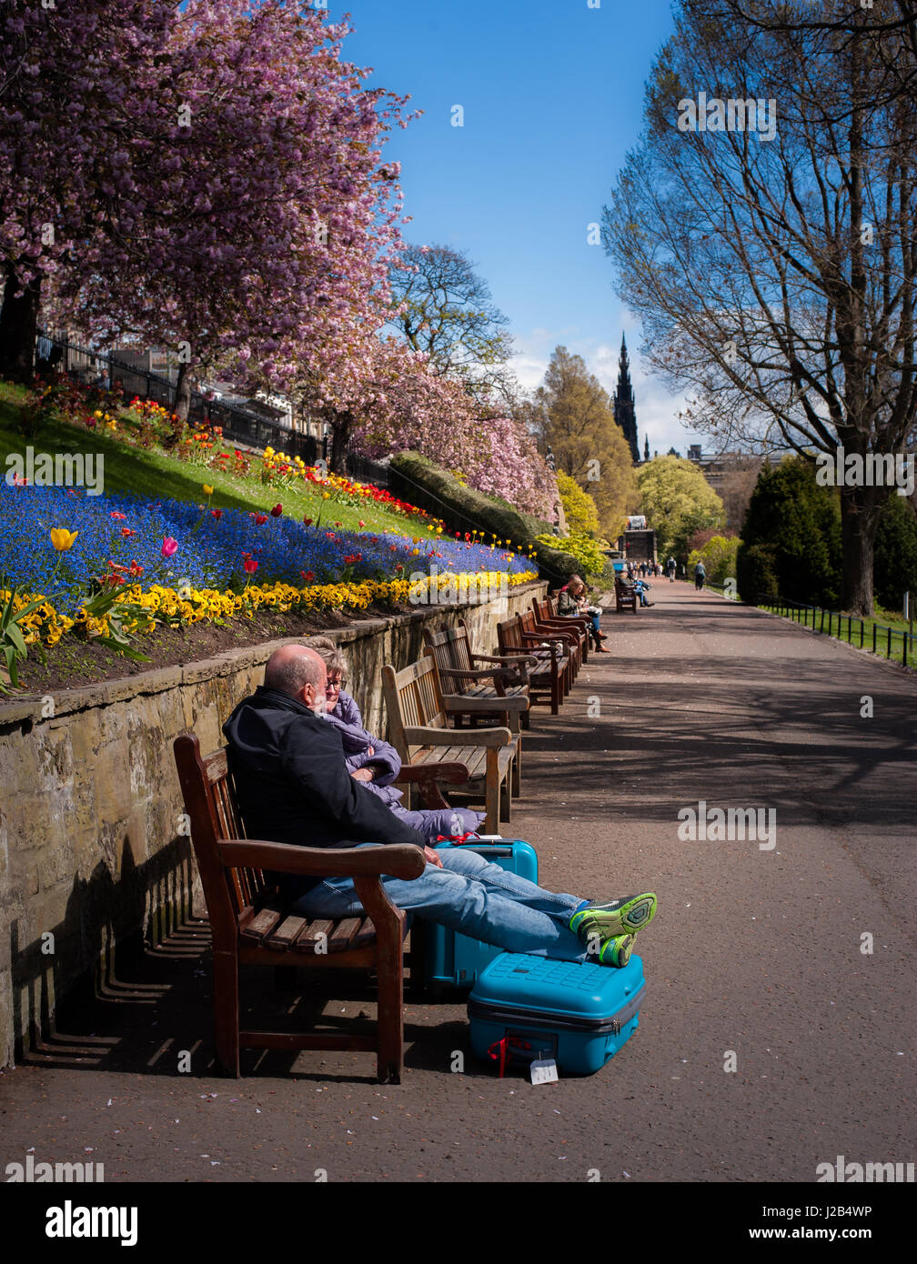 A tourists couple resting on a bench in blossoming Princess Gardens