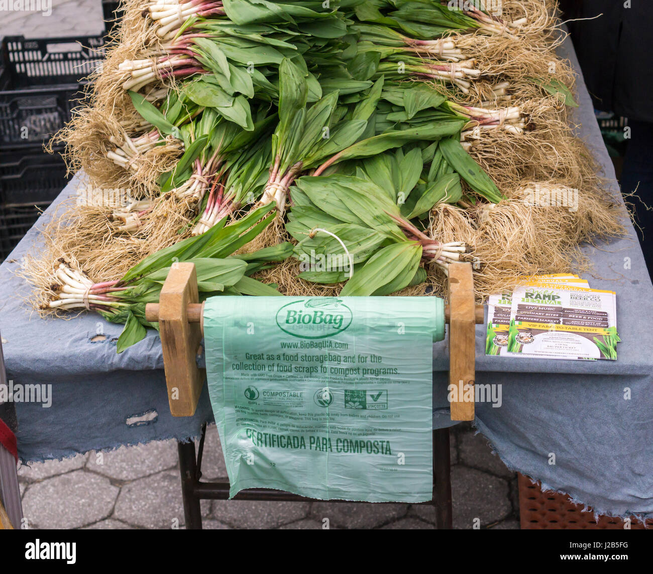 The sought after relative of the onion, ramps, are seen in the Union Square Greenmarket in New York on  Saturday, April 22, 2017. The vegetable, which can be eaten raw, inspires a cultish following due to their scarcity and limited season. Ramps are not cultivated but are foraged, probably by little ramp elves. (© Richard B. Levine) Stock Photo