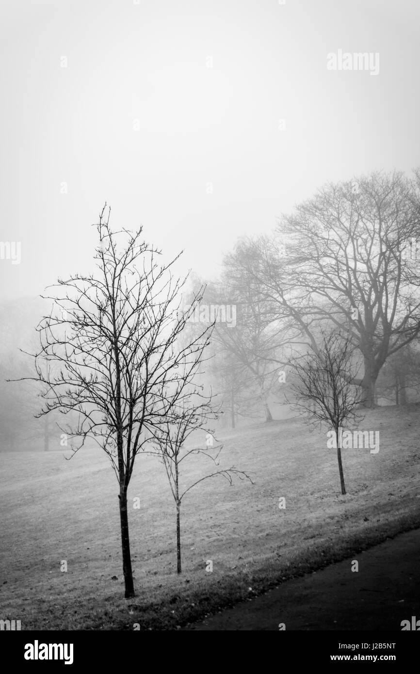 Dark mist fog london Black and White Stock Photos & Images - Alamy