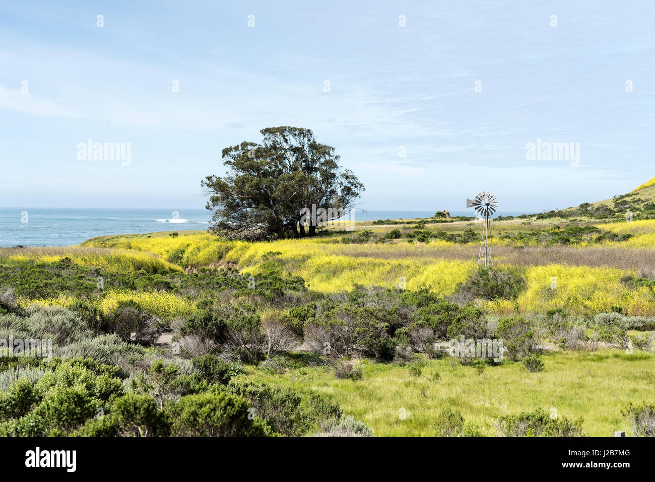 Springtime at the California coast Stock Photo - Alamy