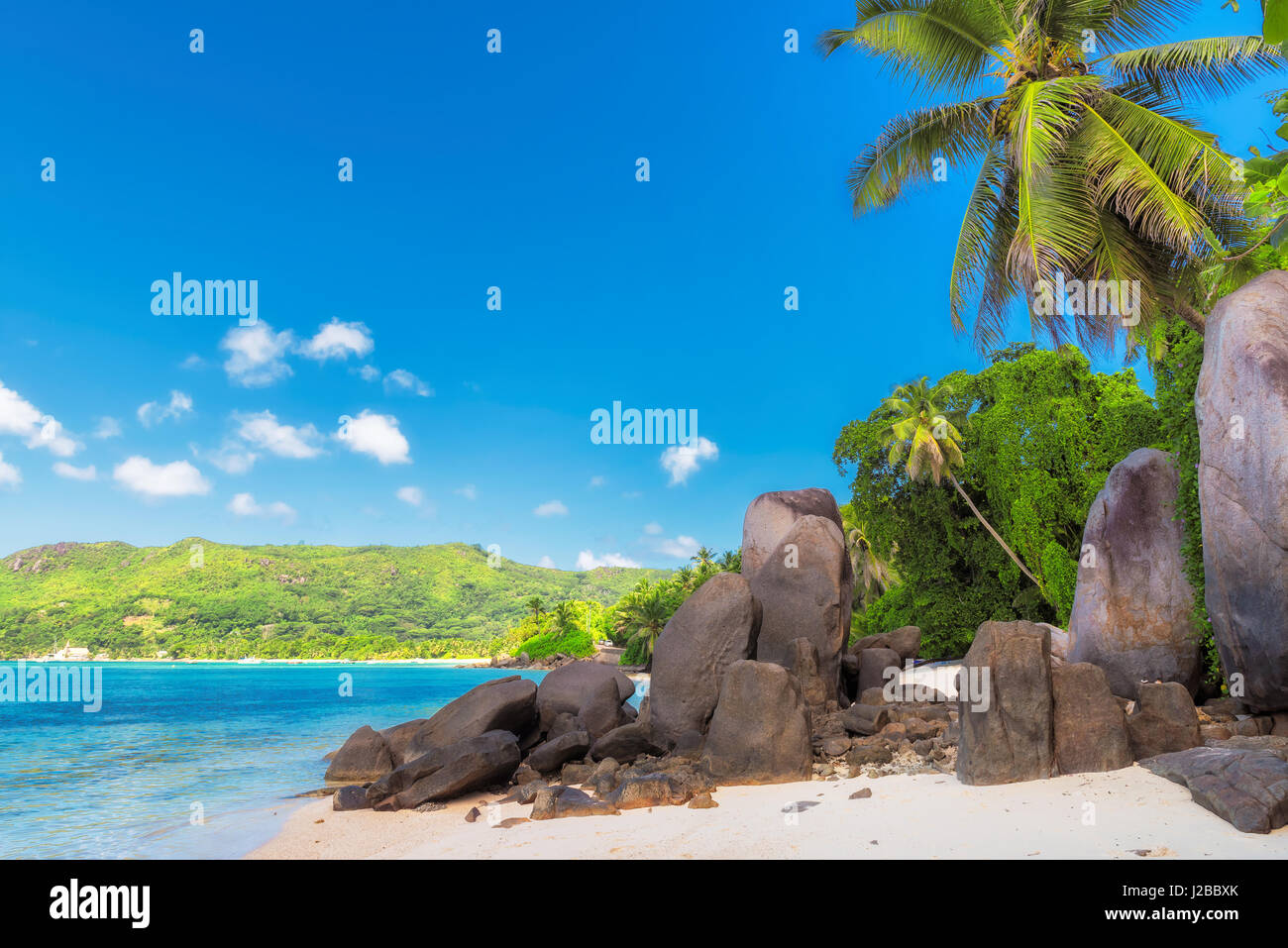 Palm trees and granite rocks on the beach, Mahe island, Seychelles Stock Photo