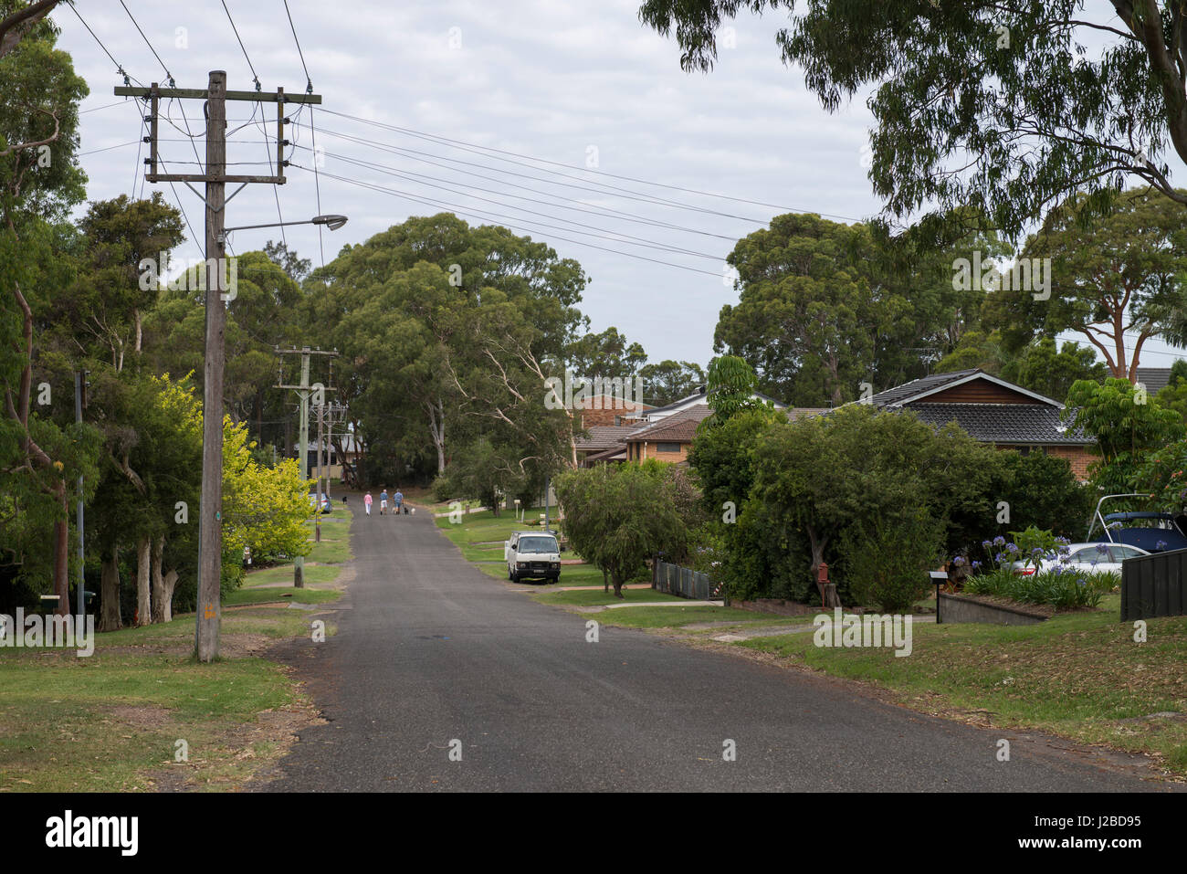 Generic Australian street scene, Balcolyn Street, Balcolyn, NSW ...