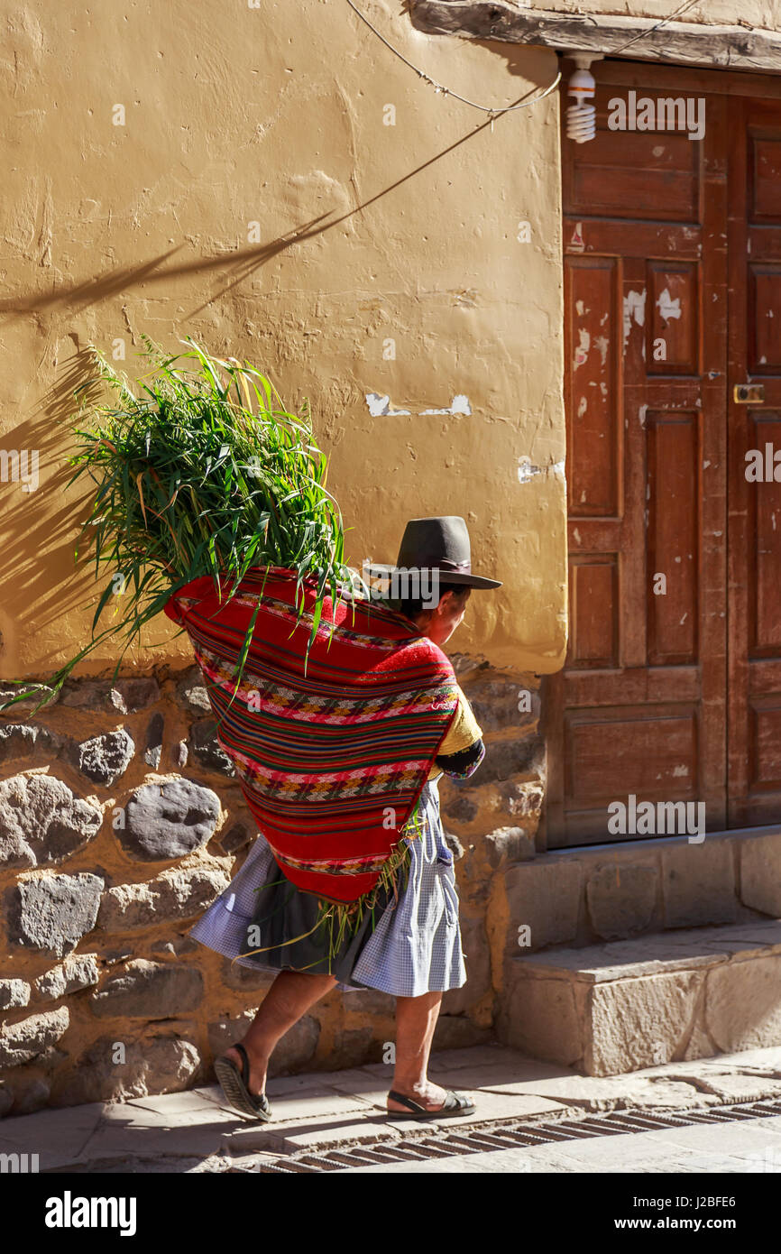 Peruvian woman cholita dressed in traditional colorful cloth, carrying the fresh harvest of coca and walking up the street with stony walls, Inkan Sac Stock Photo