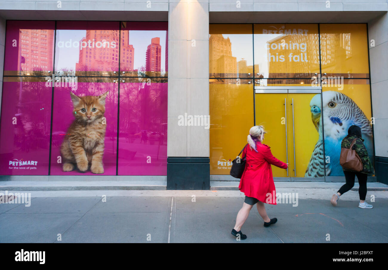 The storefront of the retailer Pets at Home on a retail park in Baguley Manchester. Editorial use only Stock Photo Alamy