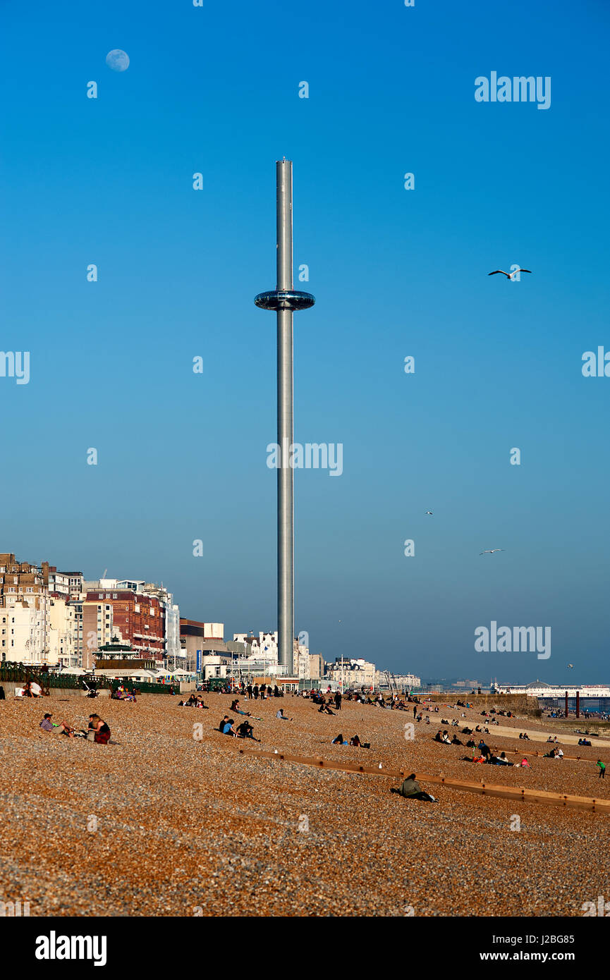 i360, Brighton, U.K, 2016. The British Airways i360 is the world's tallest moving observation tower and opened in 2016 on Brighton beach in Sussex. Stock Photo