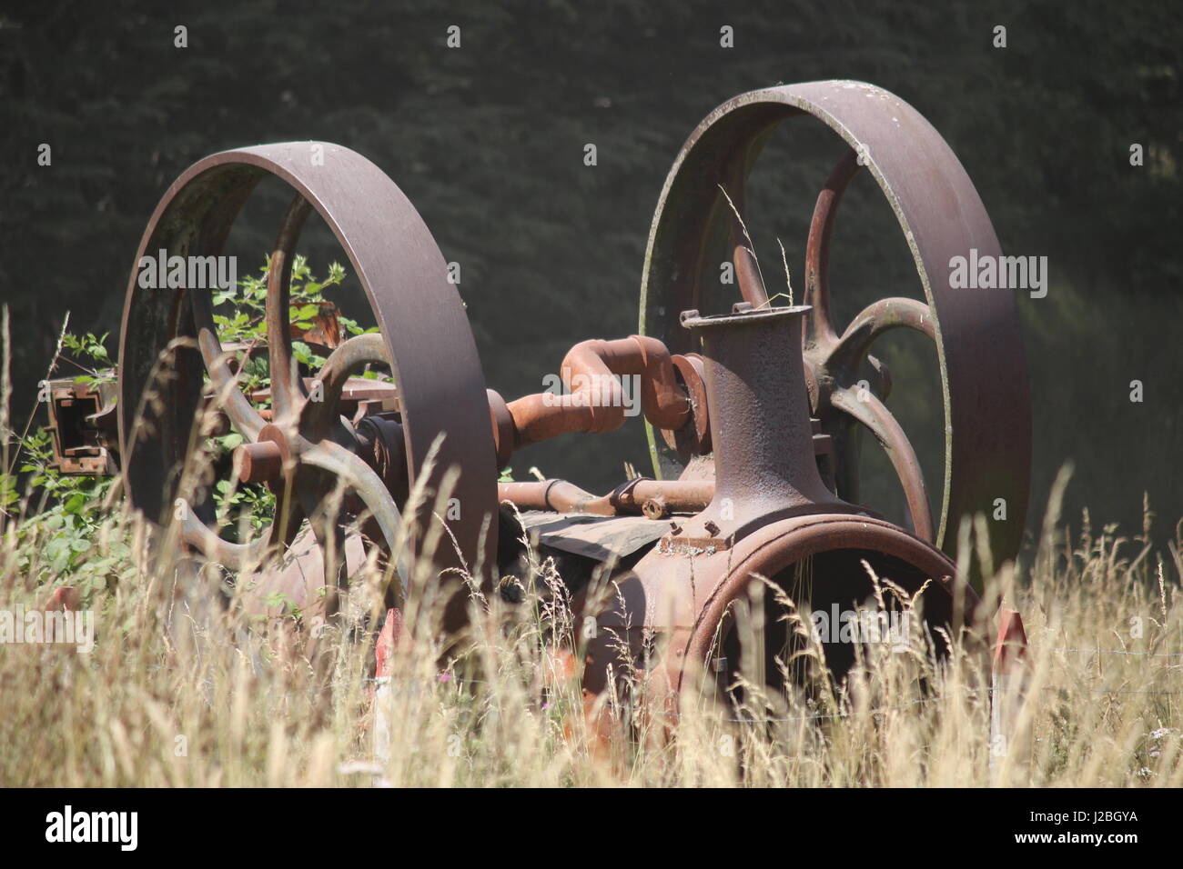Final resting place of old steam engine in field of corn in Chile Stock ...