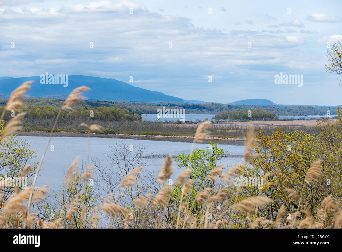 View of Catskill Mountains and Hudson River near Rhinebeck, NY. Soft focus Reeds in the foreground with a Dramatic Sky, and Sailboat on the river. Stock Photo