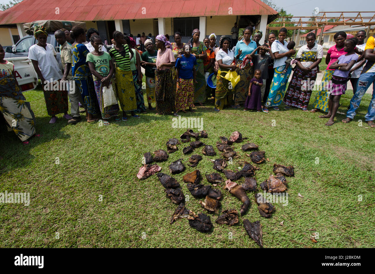 Distribution of confiscated bushmeat to hospital near Makoua, Congo Stock Photo