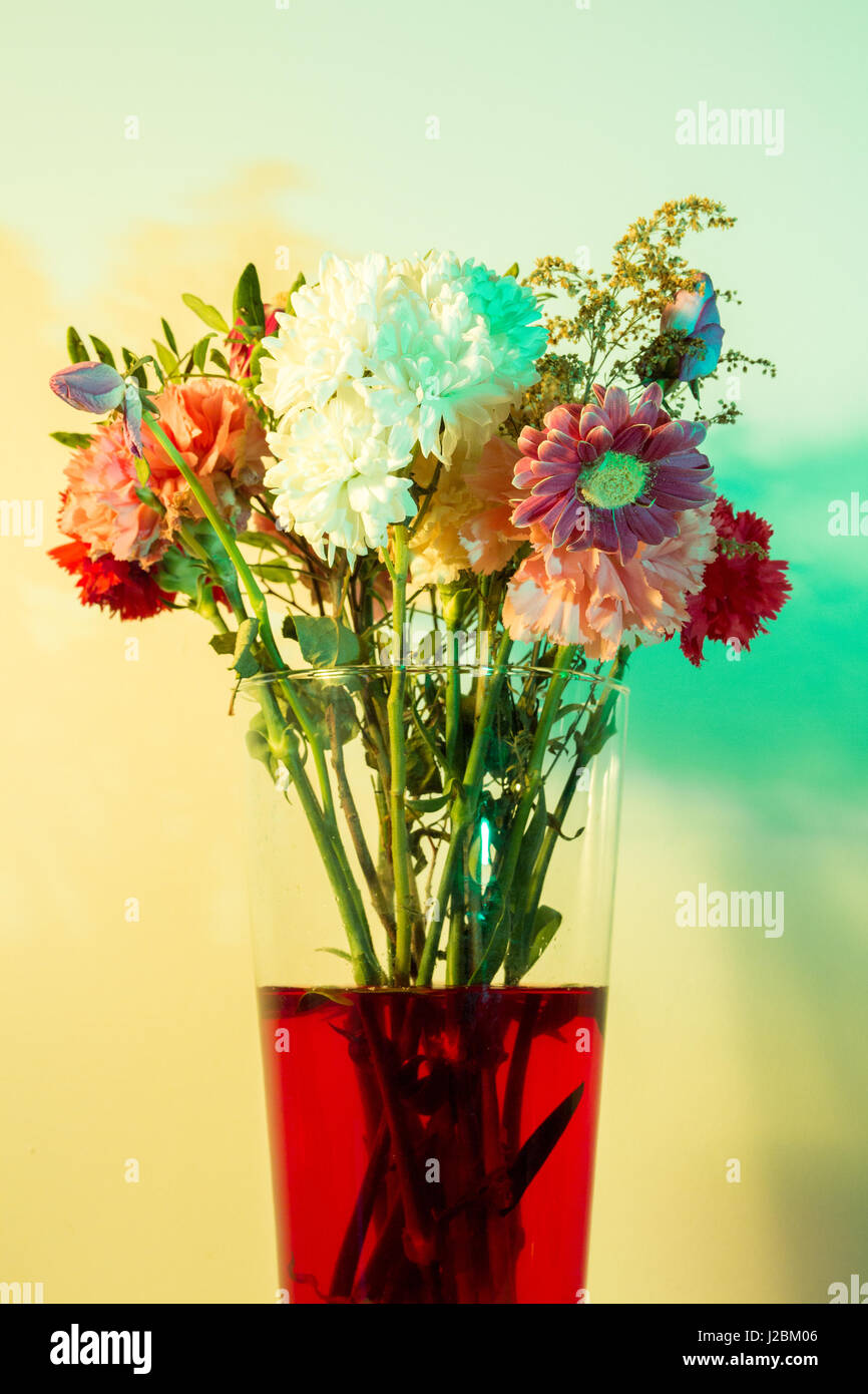 Flowers just starting to wilt in a tall transparent vase and red water