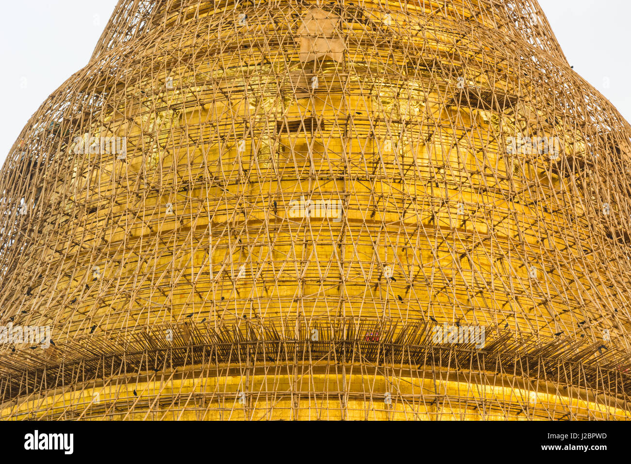 Myanmar. Yangon. Shwedagon Pagoda. Bamboo scaffolding surrounds the ...