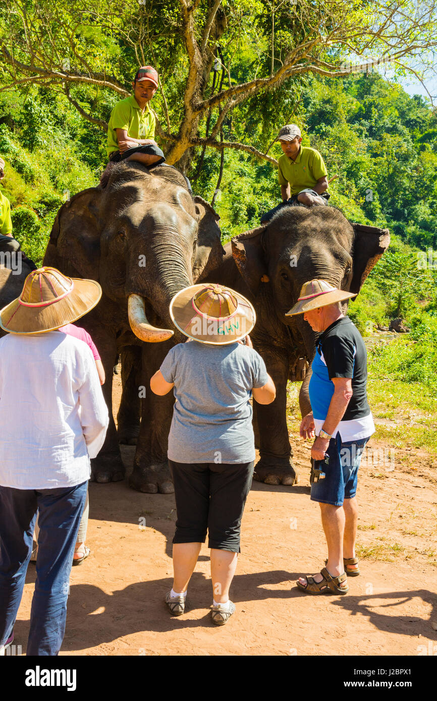 Myanmar. Shan State. Near Kalaw. Green Hill Valley Elephant Camp ...