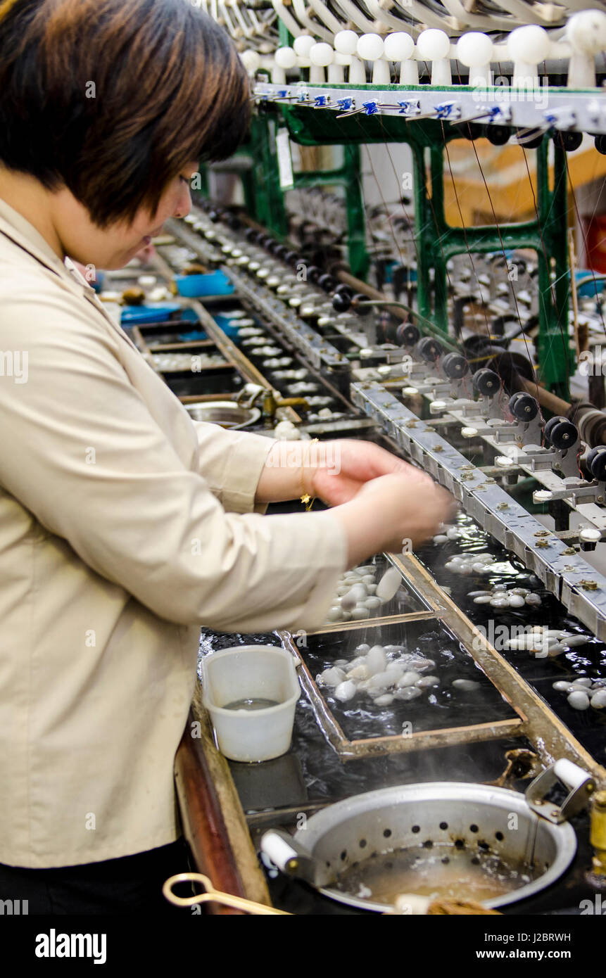 Separating silk strands for making silk at the Silk Spinning Mill ...