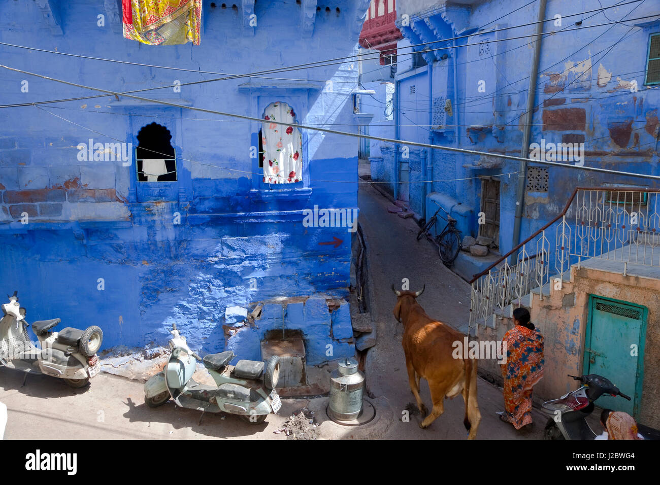 Blue city, Jodhpur, Rajasthan, India Stock Photo