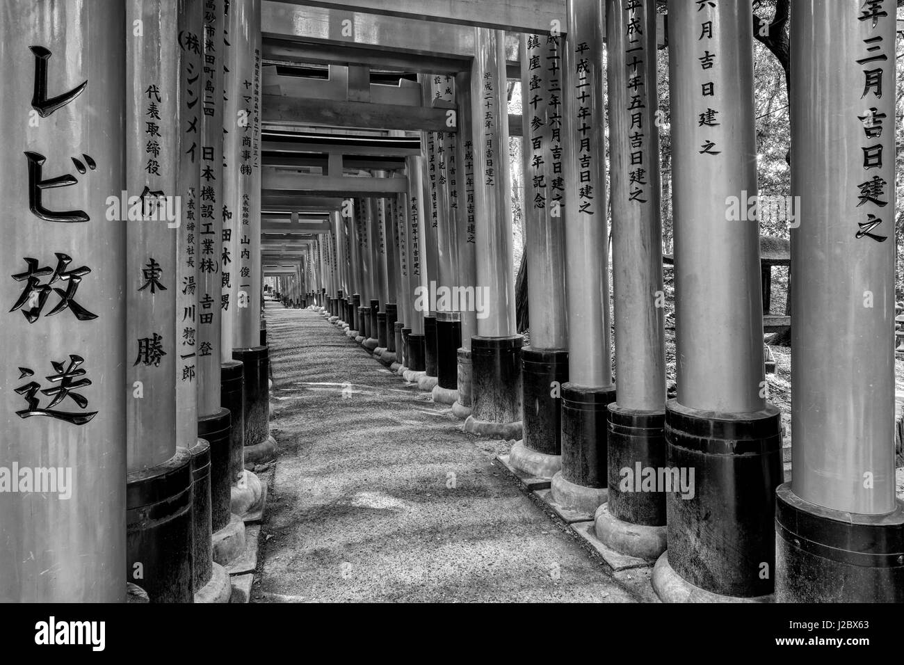 Torii Black and White Stock Photos & Images - Alamy