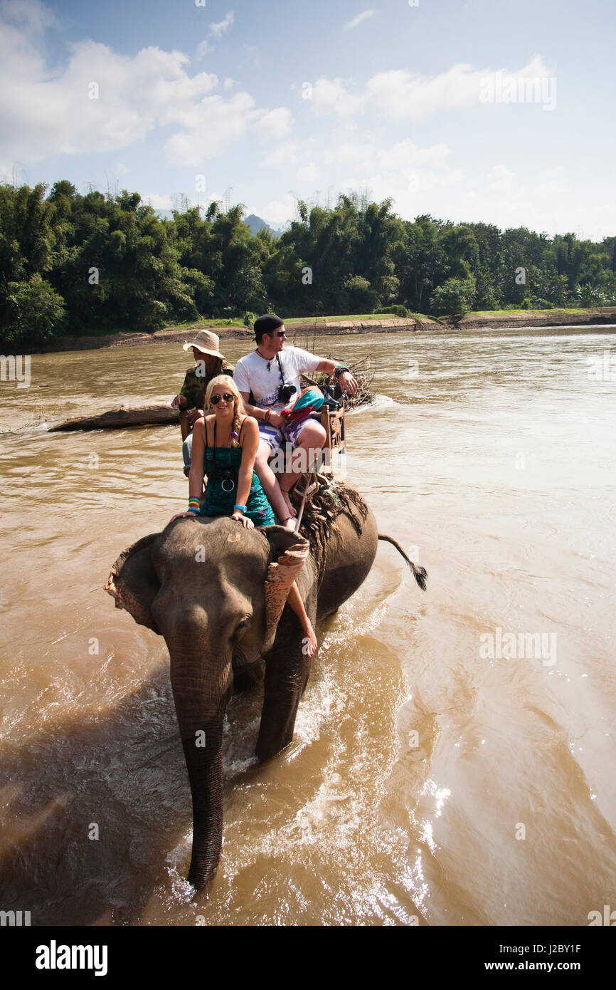 An elephant village just outside of Luang Prabang, Laos offers an