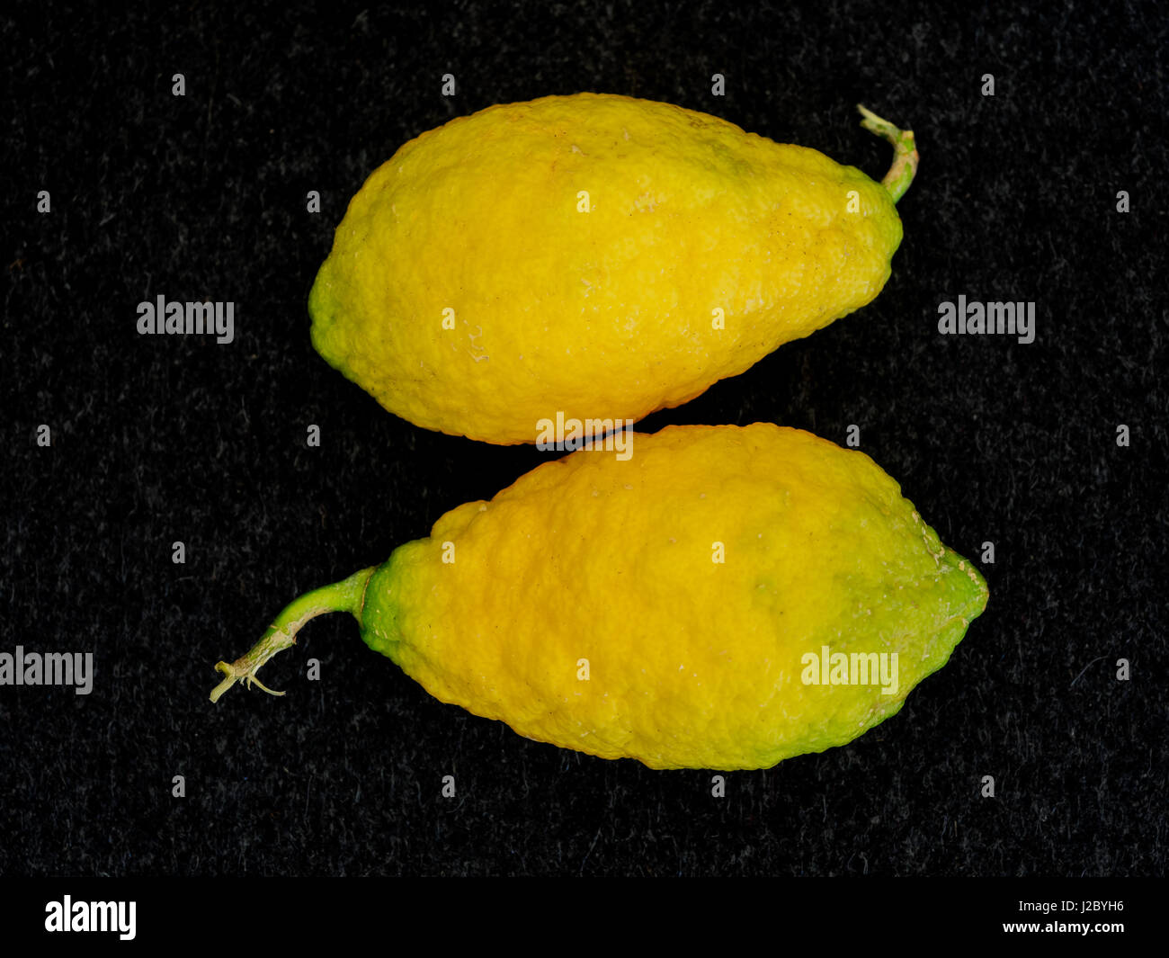 Piretti cedrat citrus lemons Stock Photo