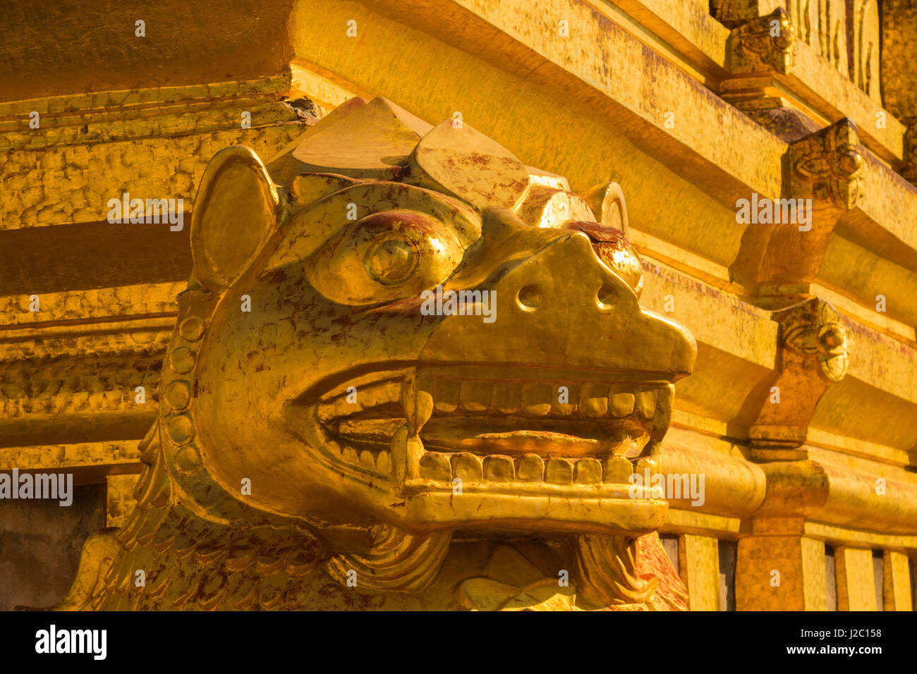 Hareng fermenté Banque de photographies et d'images à haute résolution -  Alamy