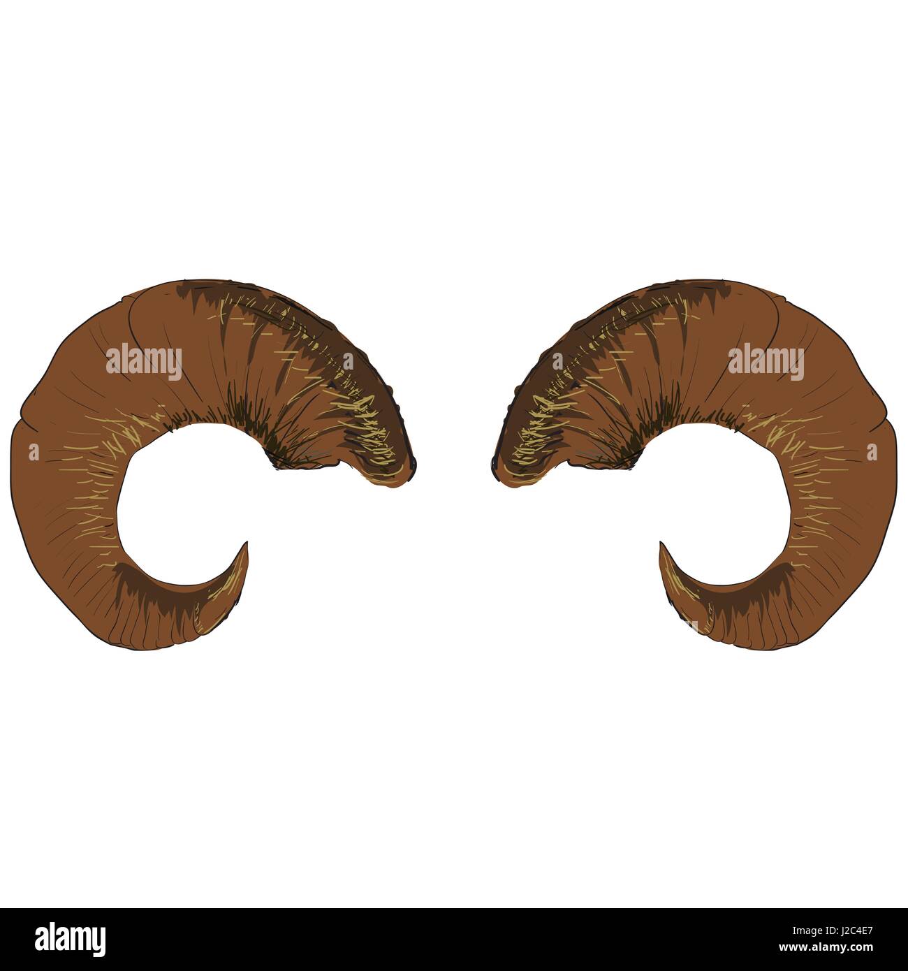 Animal Horns Isolated Stock Vector Image & Art Alamy