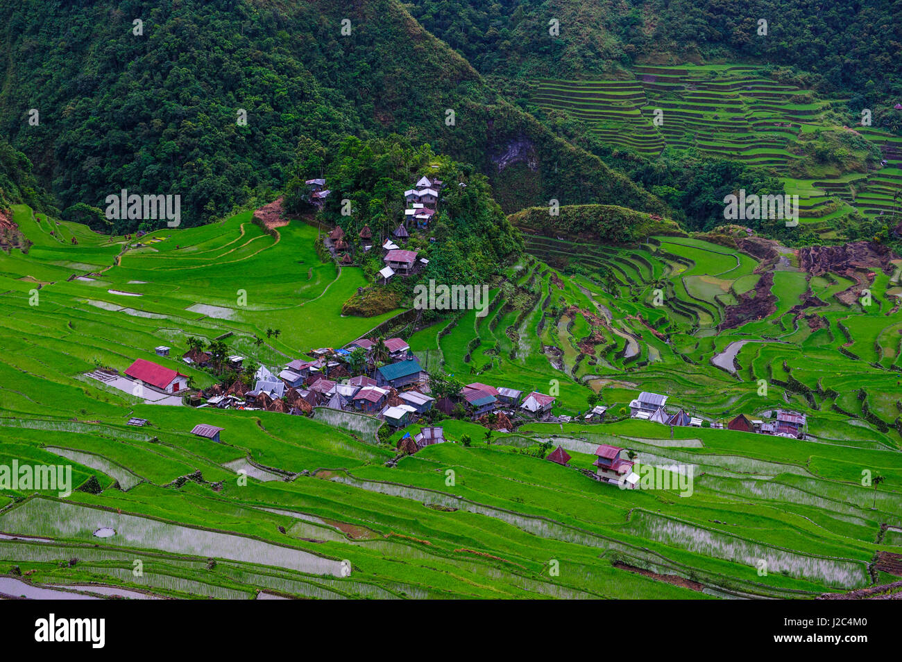Batad rice terraces, World Heritage Site, Banaue, Luzon, Philippines ...