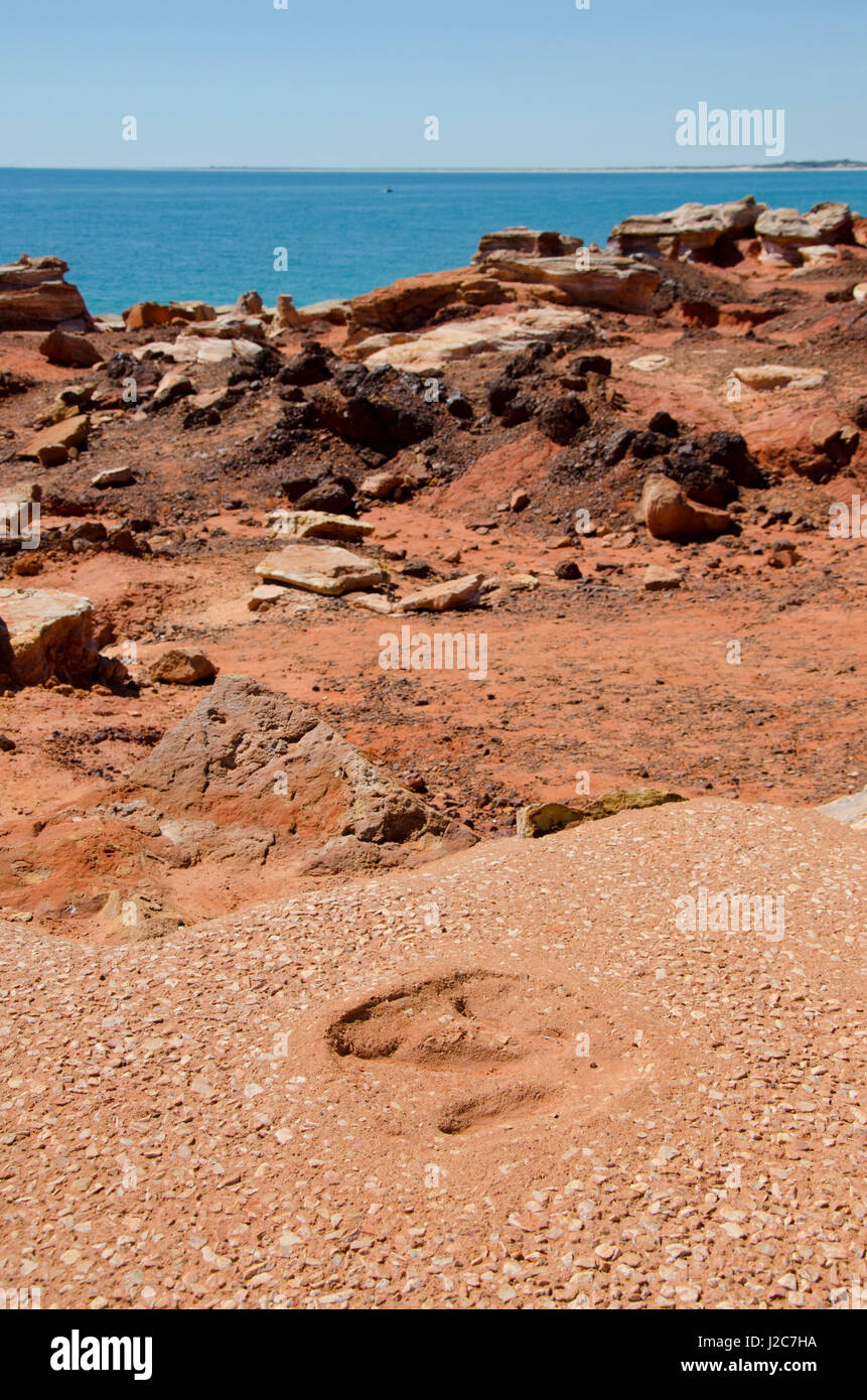 Gantheaume point tracks hires stock photography and images Alamy