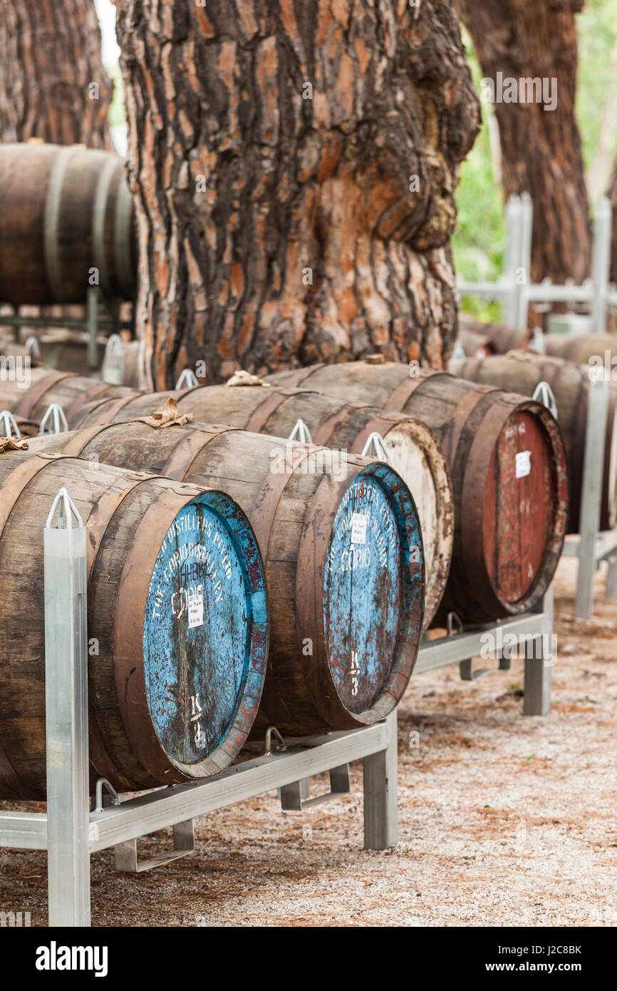 Australia, Victoria, Rutherglen, Pfeiffer Winery, wine barrels Stock Photo Alamy
