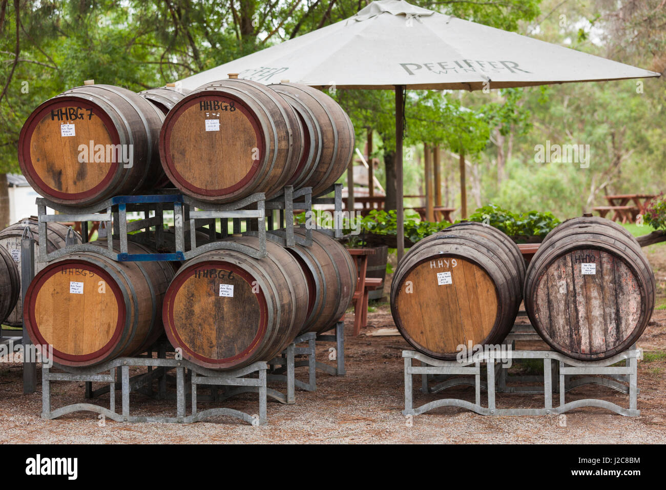 Australia, Victoria, Rutherglen, Pfeiffer Winery, wine barrels Stock