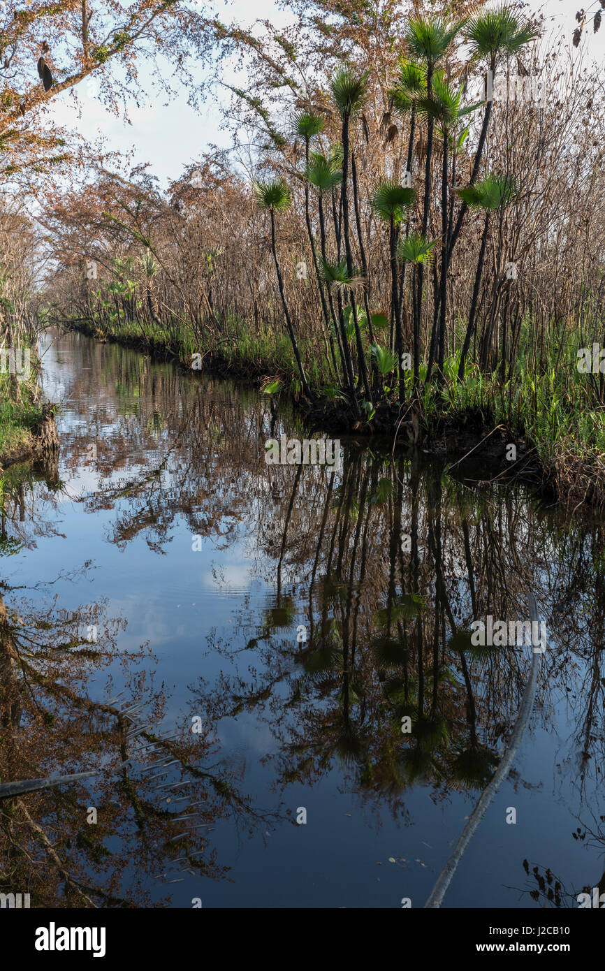 A drainage canal is seen near the Zapata Swamp near the town of Playa Larga, Cuba Stock Photo