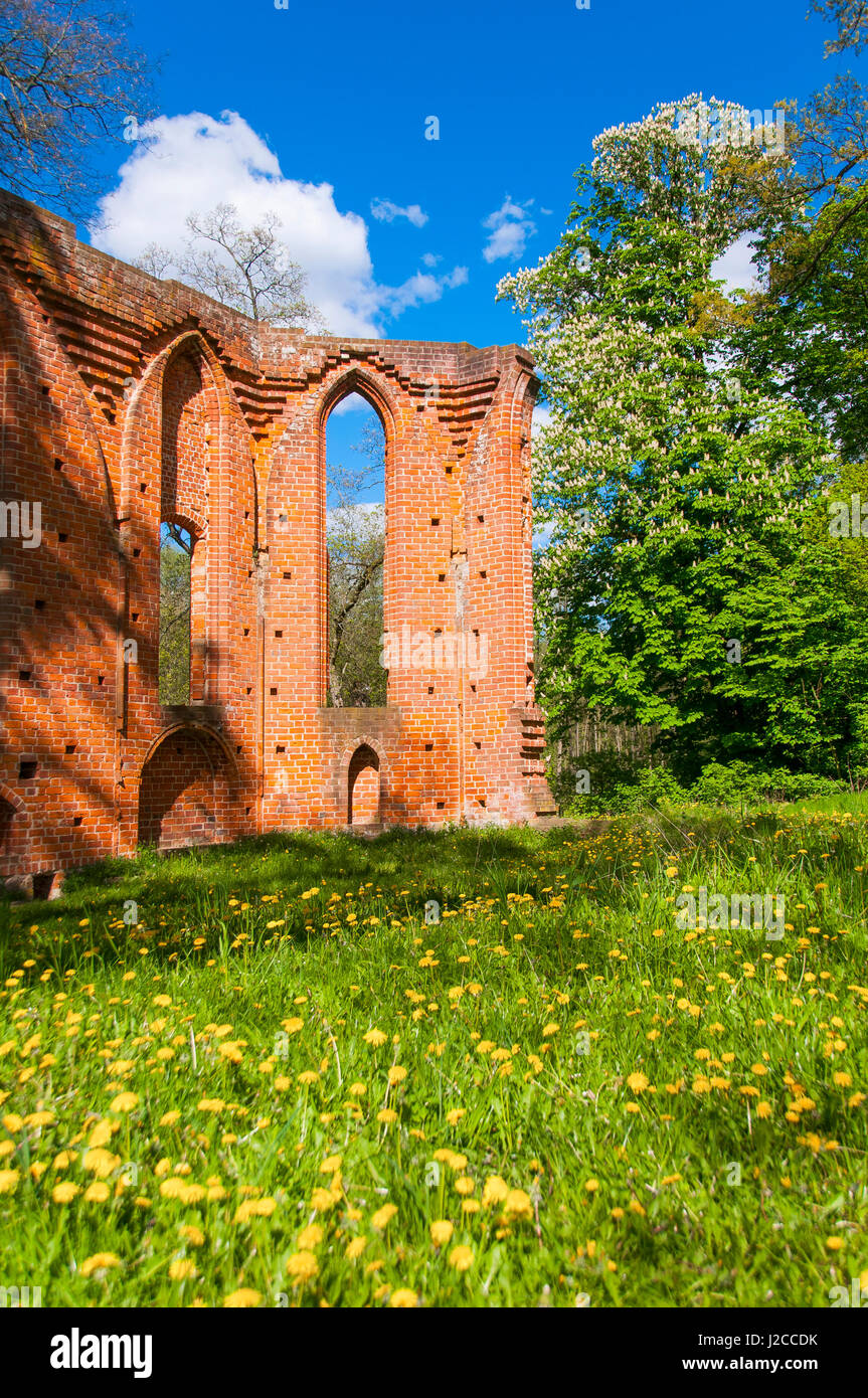 Monastery ruins of Boitzenburg, Boitzenburger Land, Uckermark, Brandenburg, Germany Stock Photo