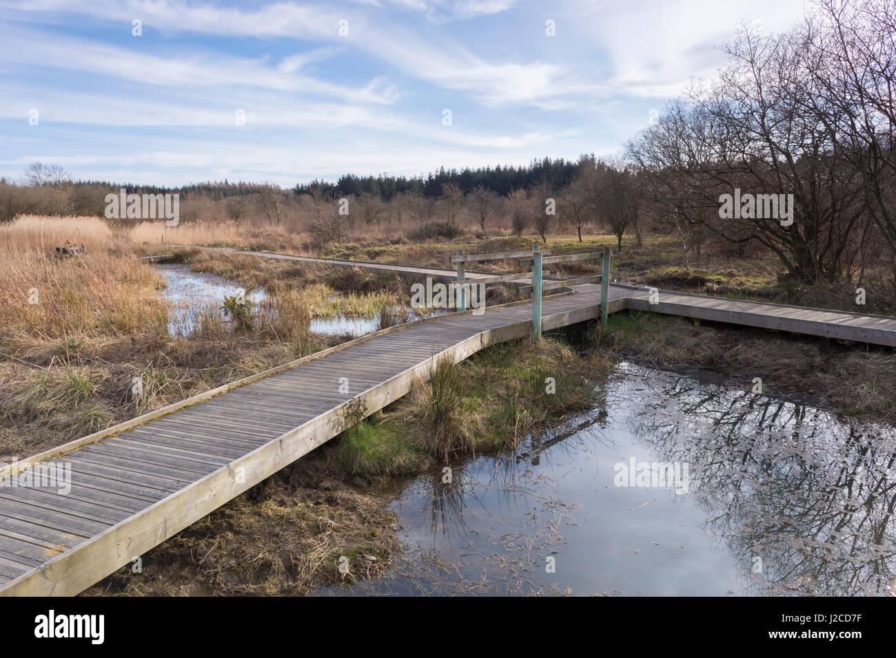 Wooden boardwalk over water, Foxglove Covert Local Nature Reserve ...