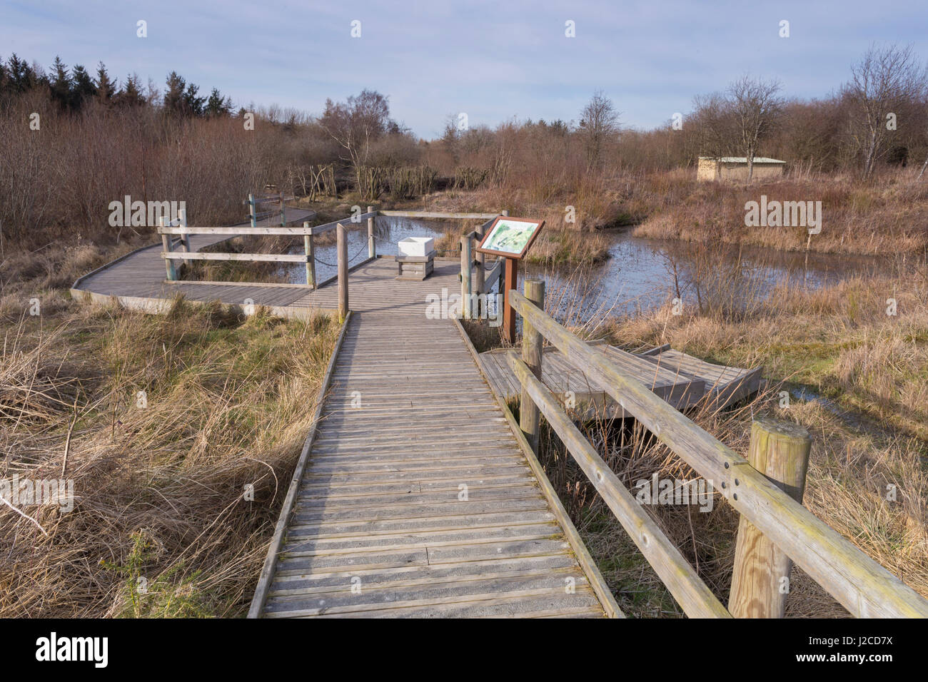 Wooden boardwalk and fence by pool, Foxglove Covert Local Nature Reserve, Catterick Barracks, Catterick, North Yorkshire, England, March Stock Photo