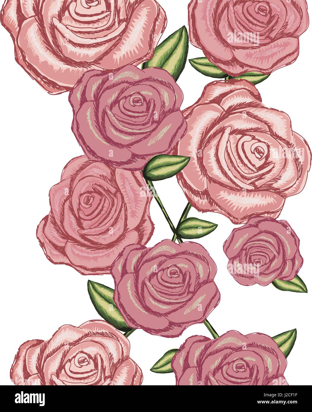 colorful silhouette with realistic roses Stock Vector Image & Art - Alamy