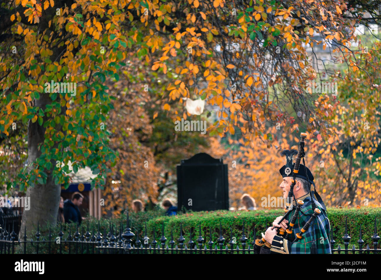A man plays the bagpipes under a tree near Edinburgh Castle in Edinburgh, Scotland Stock Photo