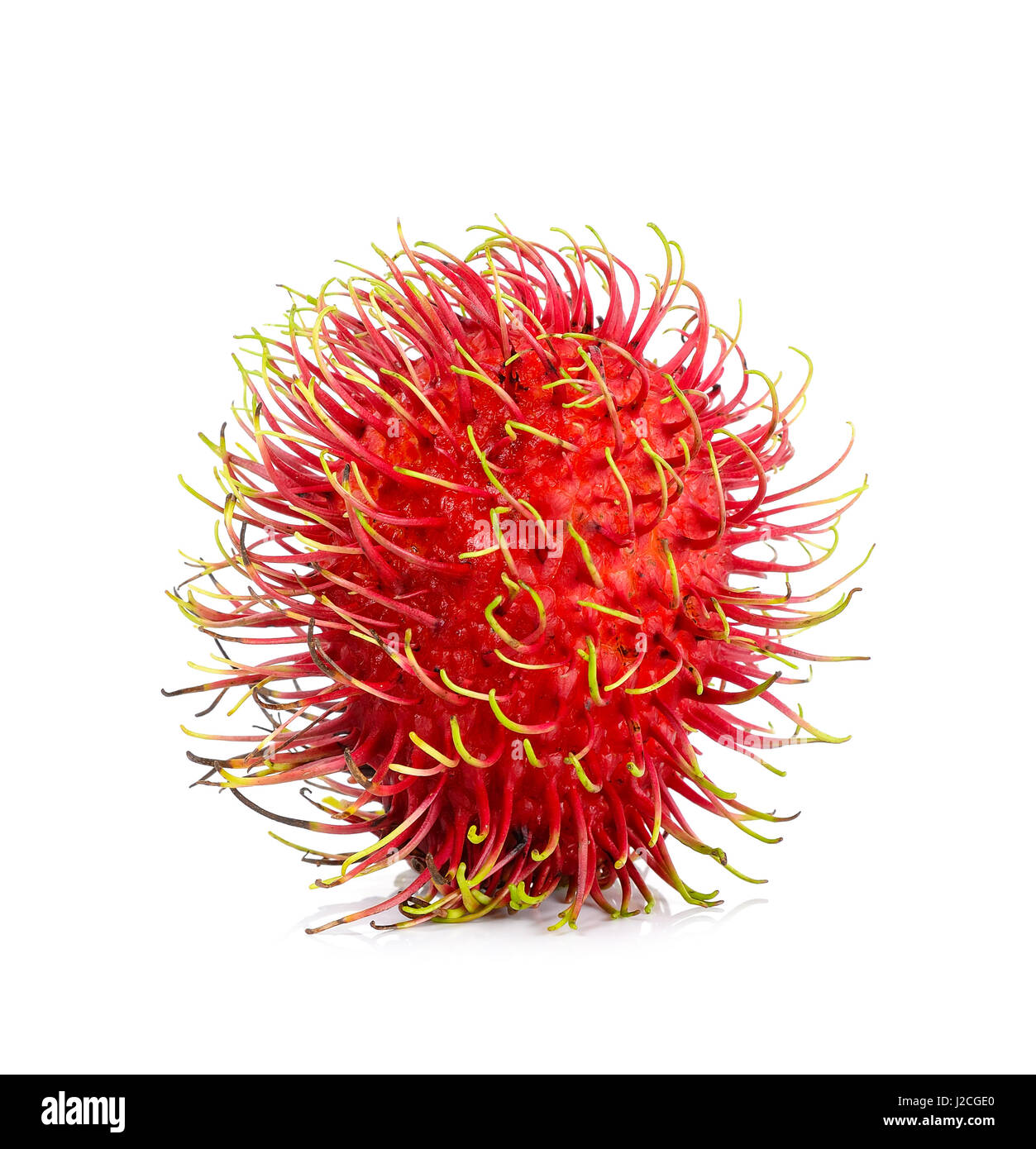 rambutan isolated on the white background Stock Photo - Alamy