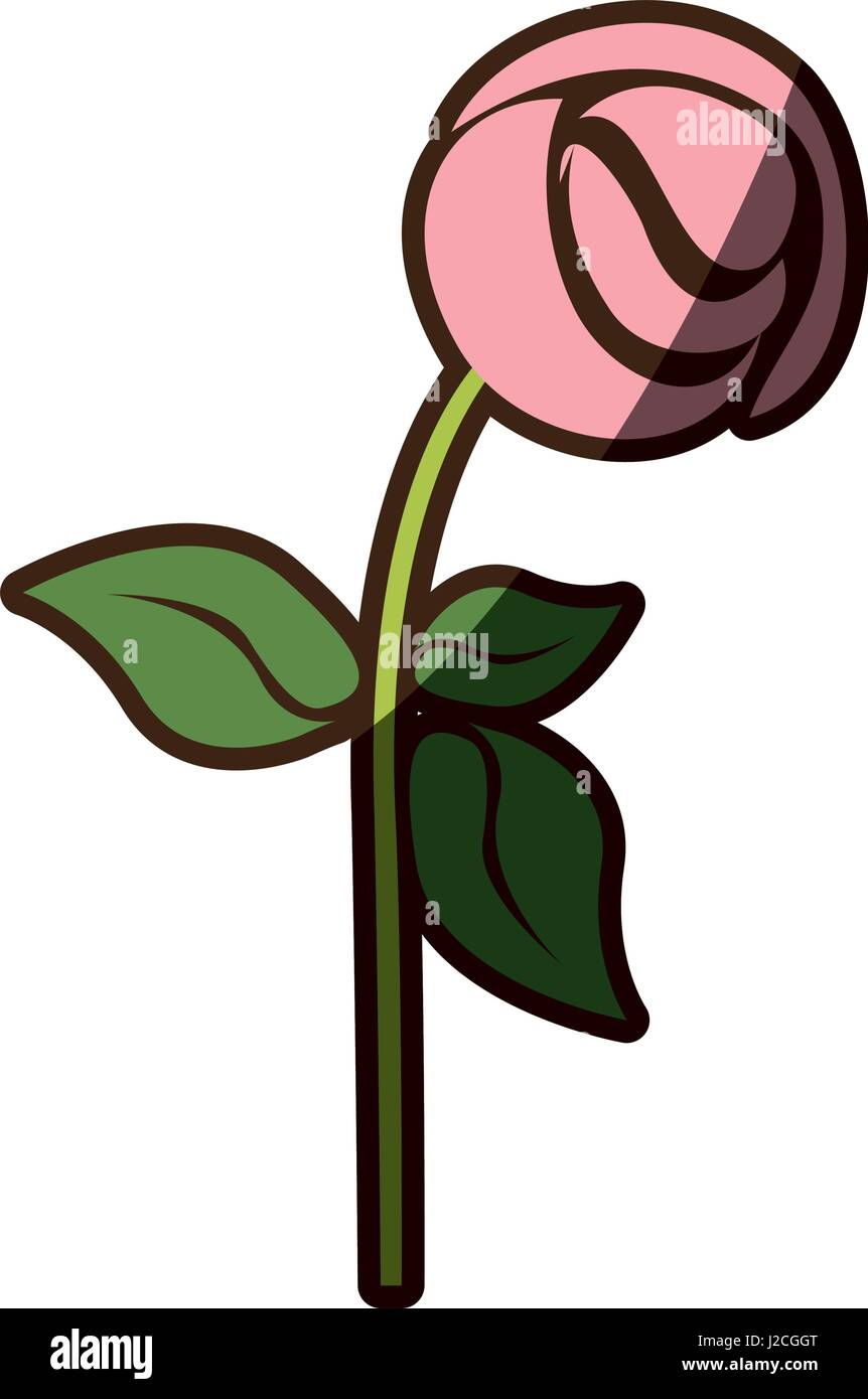 colorful silhouette shading of pink rose Stock Vector Image & Art - Alamy