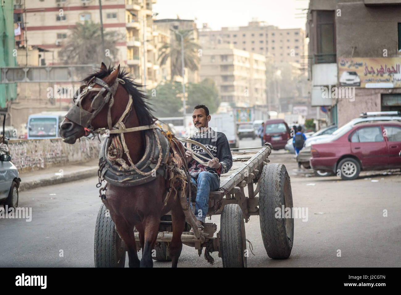 Egypt, Cairo Governorate, Cairo, Garbage Carrier Stock Photo