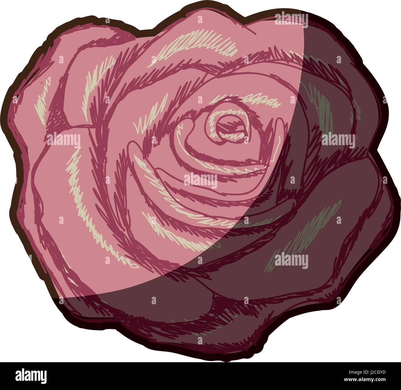 Colorful realistic roses bouquet Stock Vector Images - Alamy