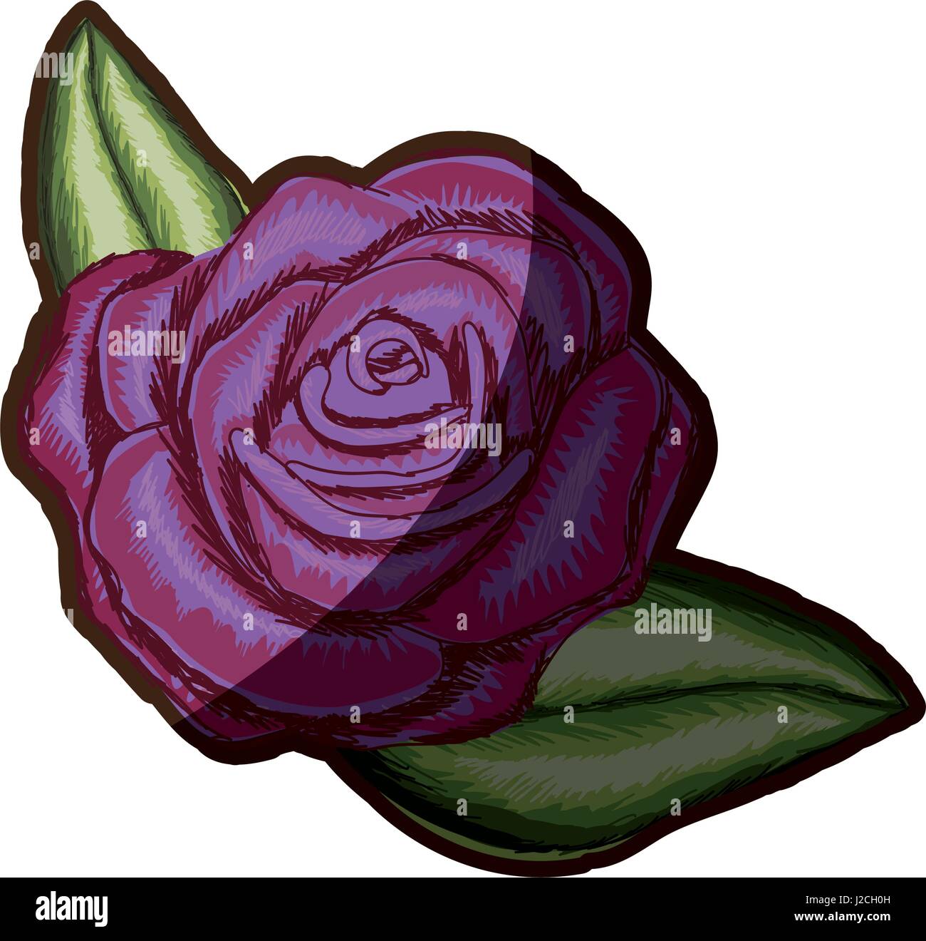 Colorful Rose Drawings