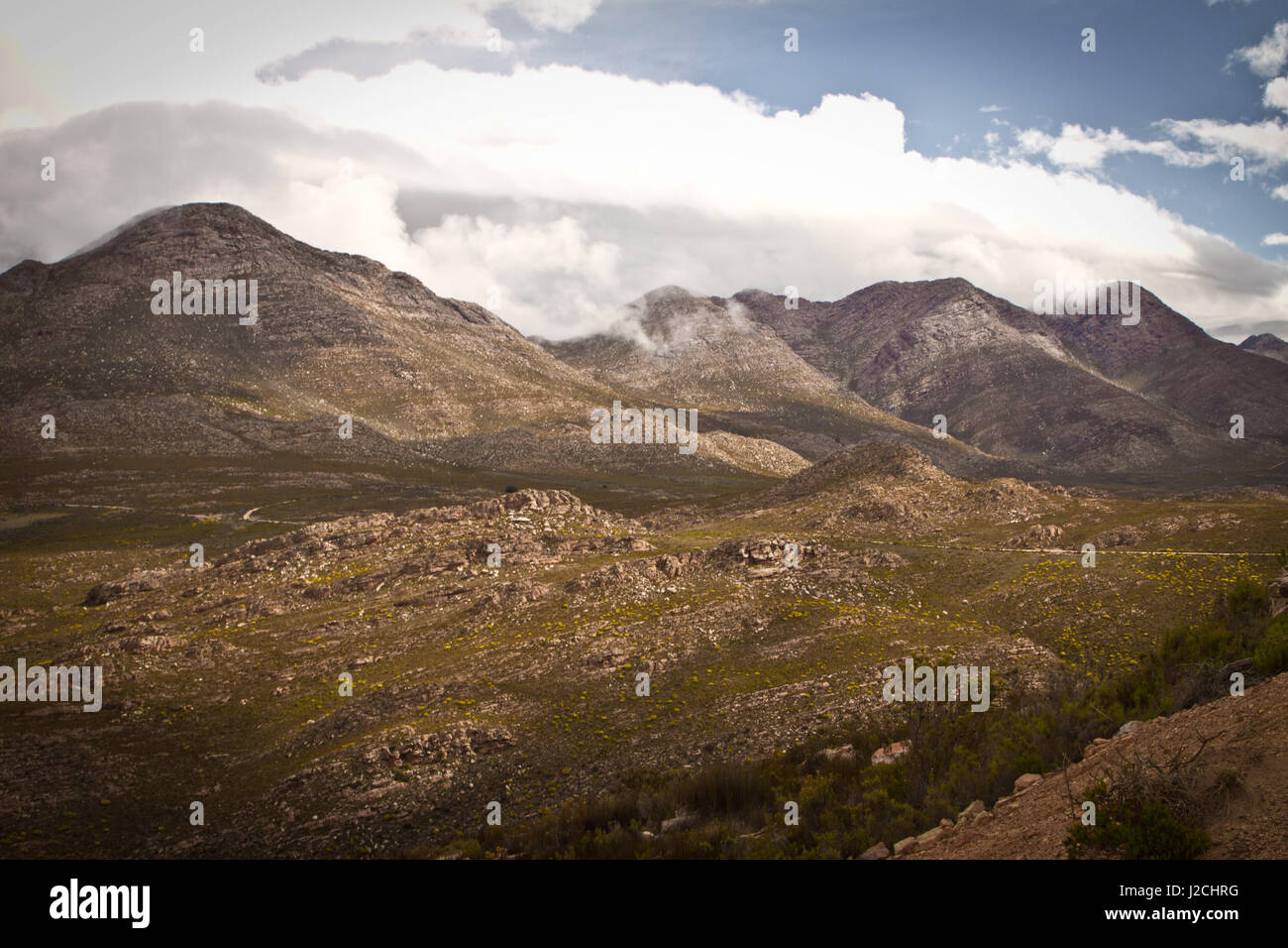 South Africa, Western Cape, Garden Route, around Cape Town. In the