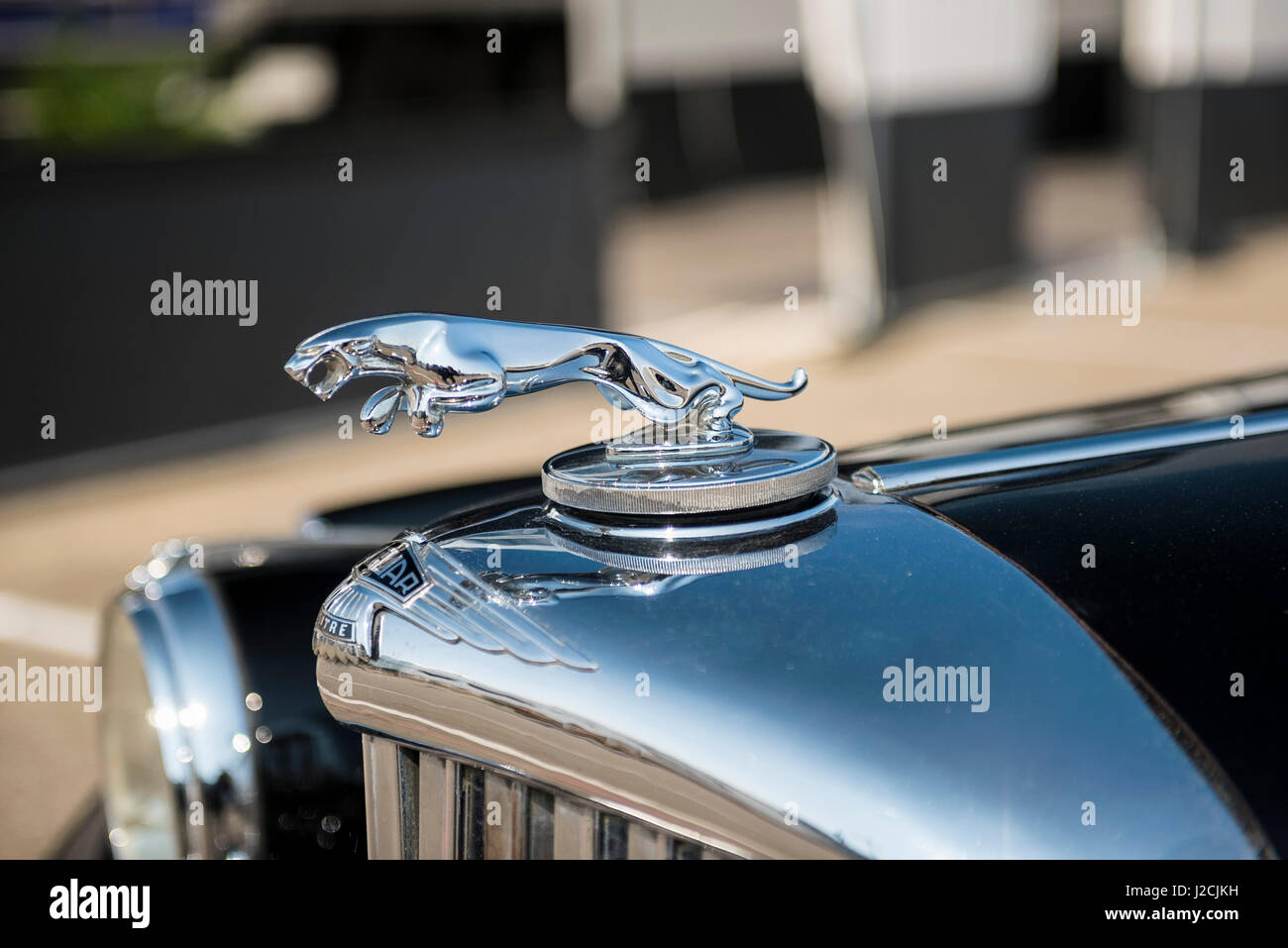 Jaguar Car Mascot High Resolution Stock Photography and Images - Alamy