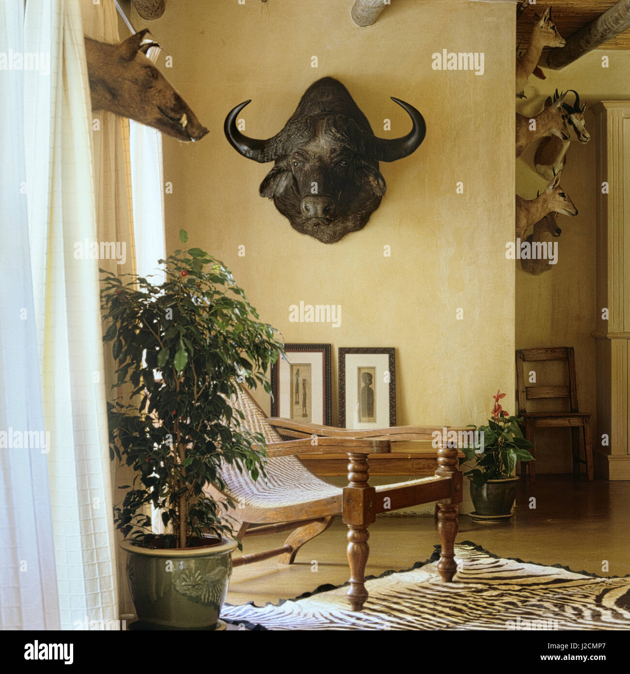 Animal heads hanging above recliner. Stock Photo