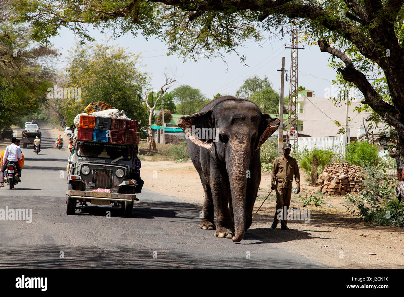 Typical Scene On A Rural Road In Rajasthan India Stock Photo Alamy