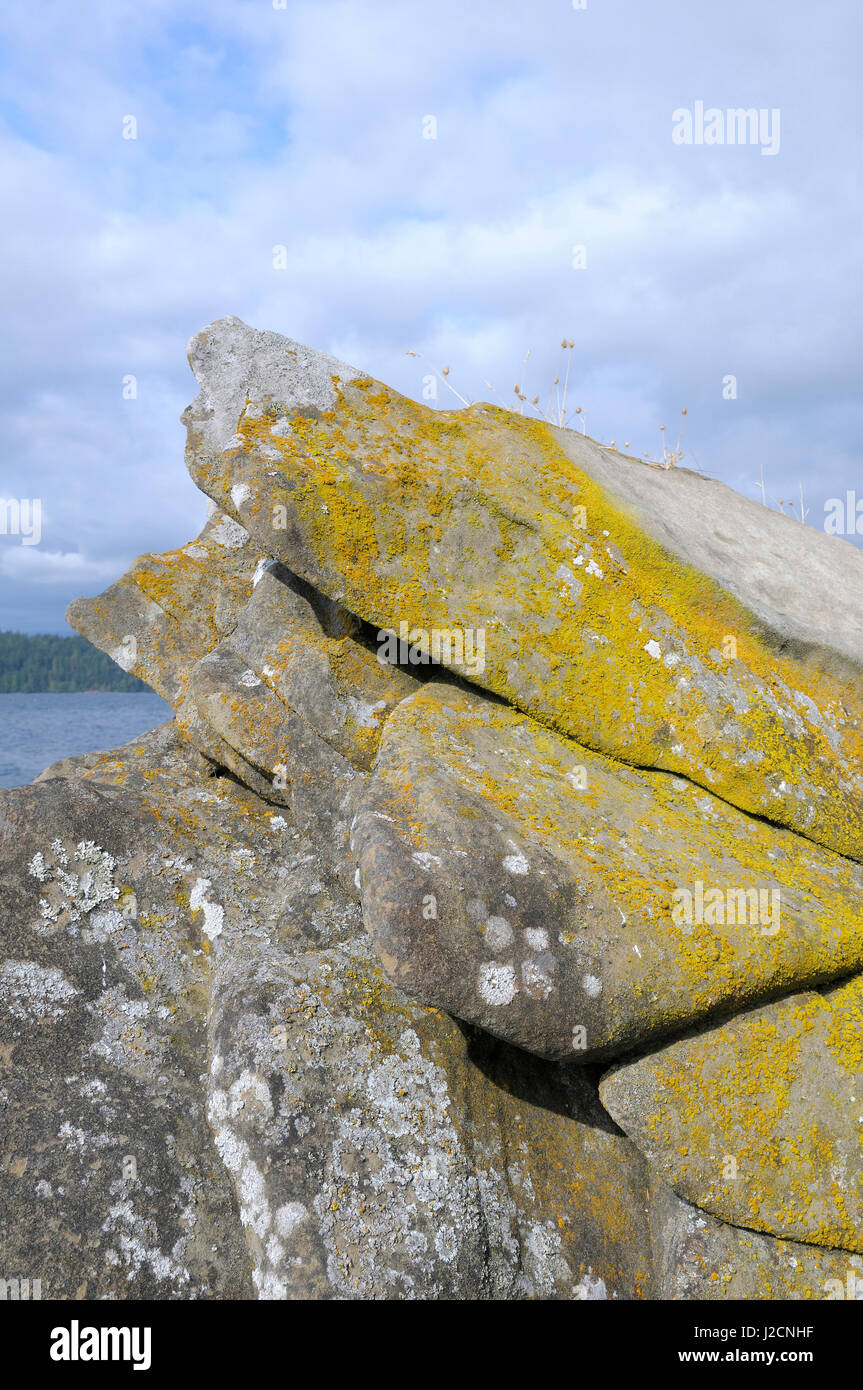 Canada, British Columbia, Gulf Islands, Wallace Island. Rocks covered ...