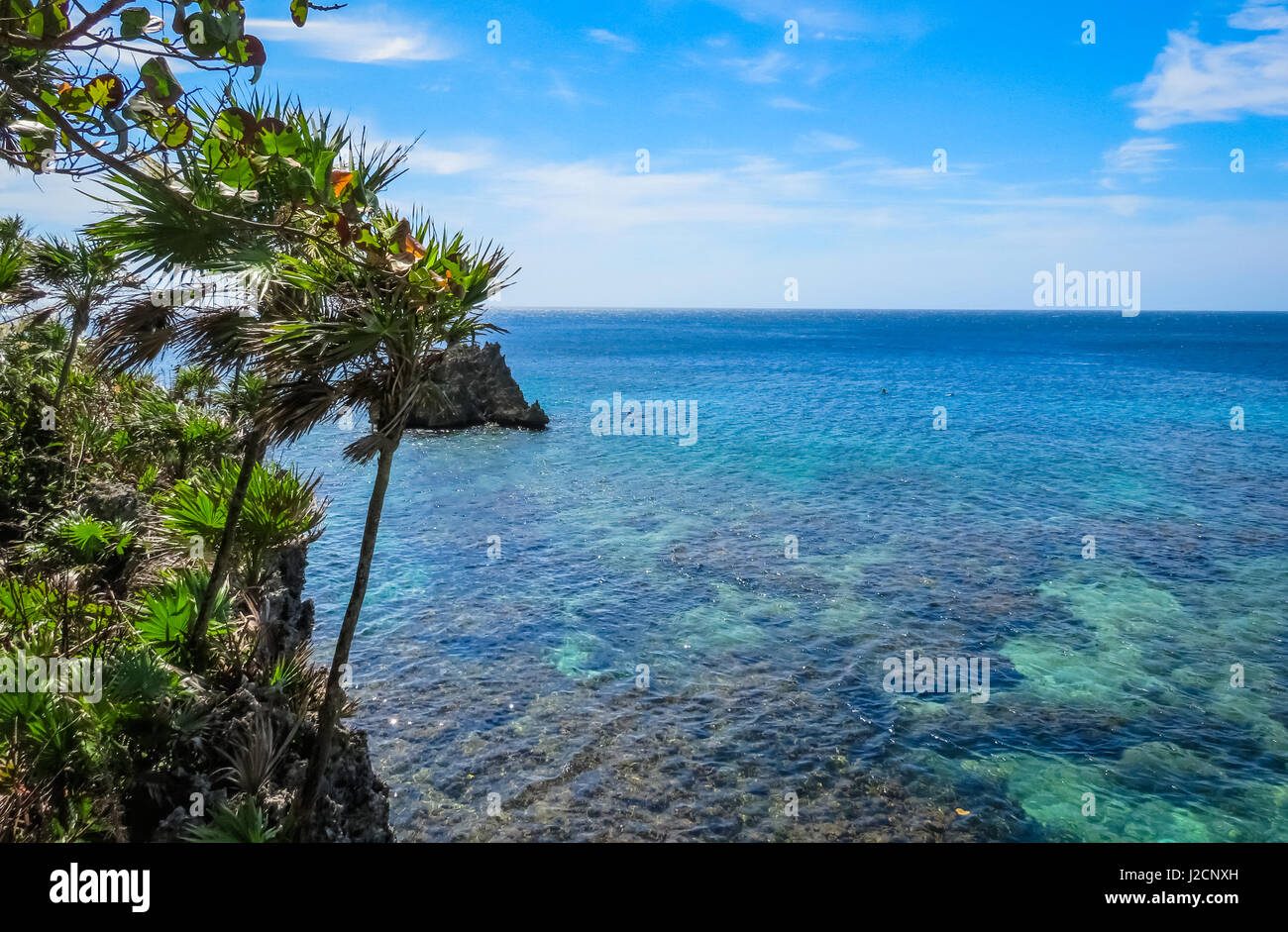 roatan island honduras landscape