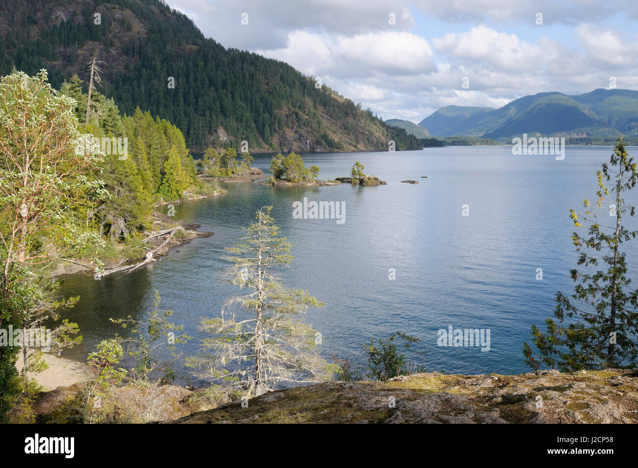Canada, British Columbia, Cowichan Lake. Gordon Bay Provincial Park
