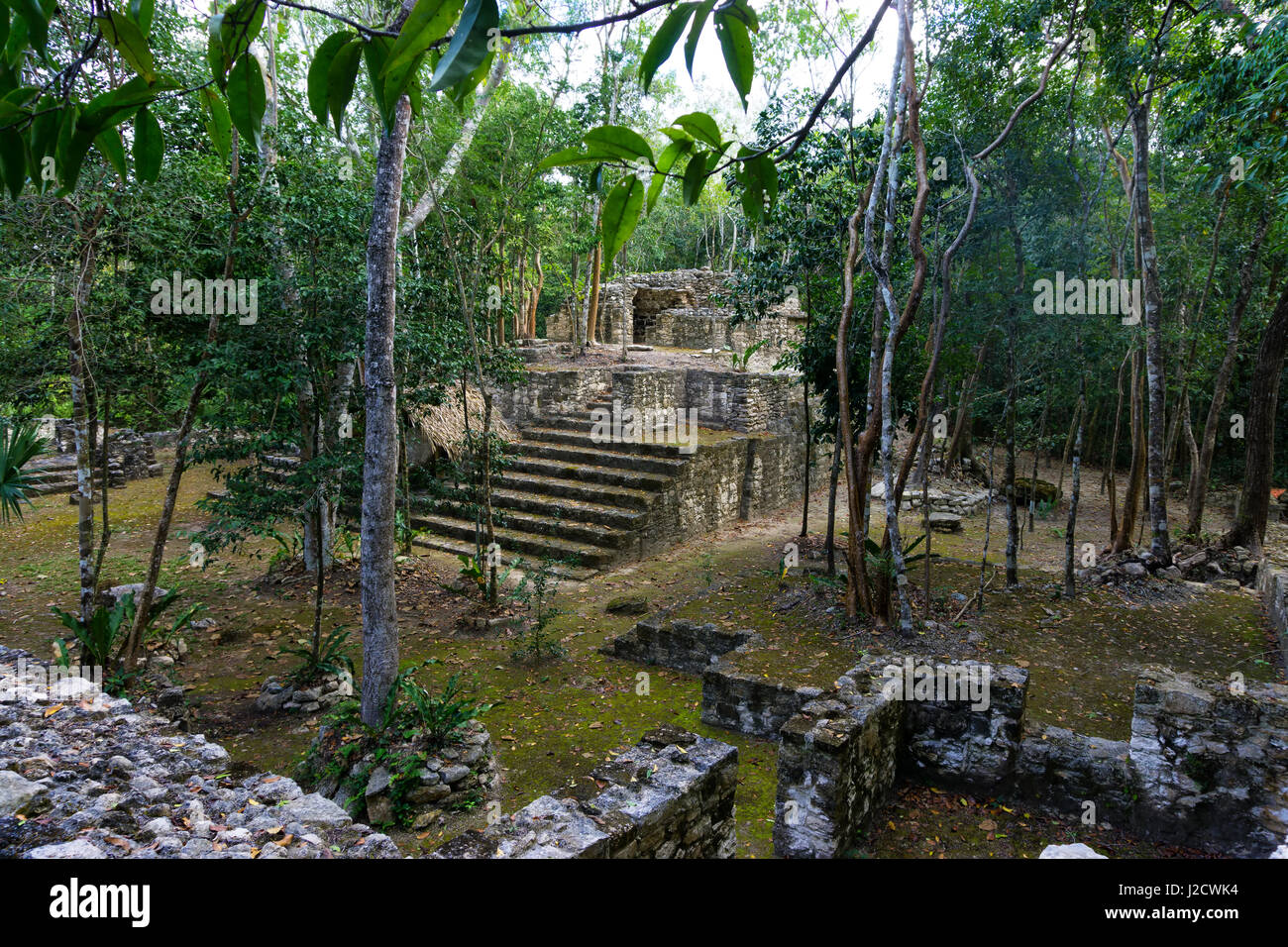 Mayan ruins in Coba, Mexico surrounded by jungle Stock Photo